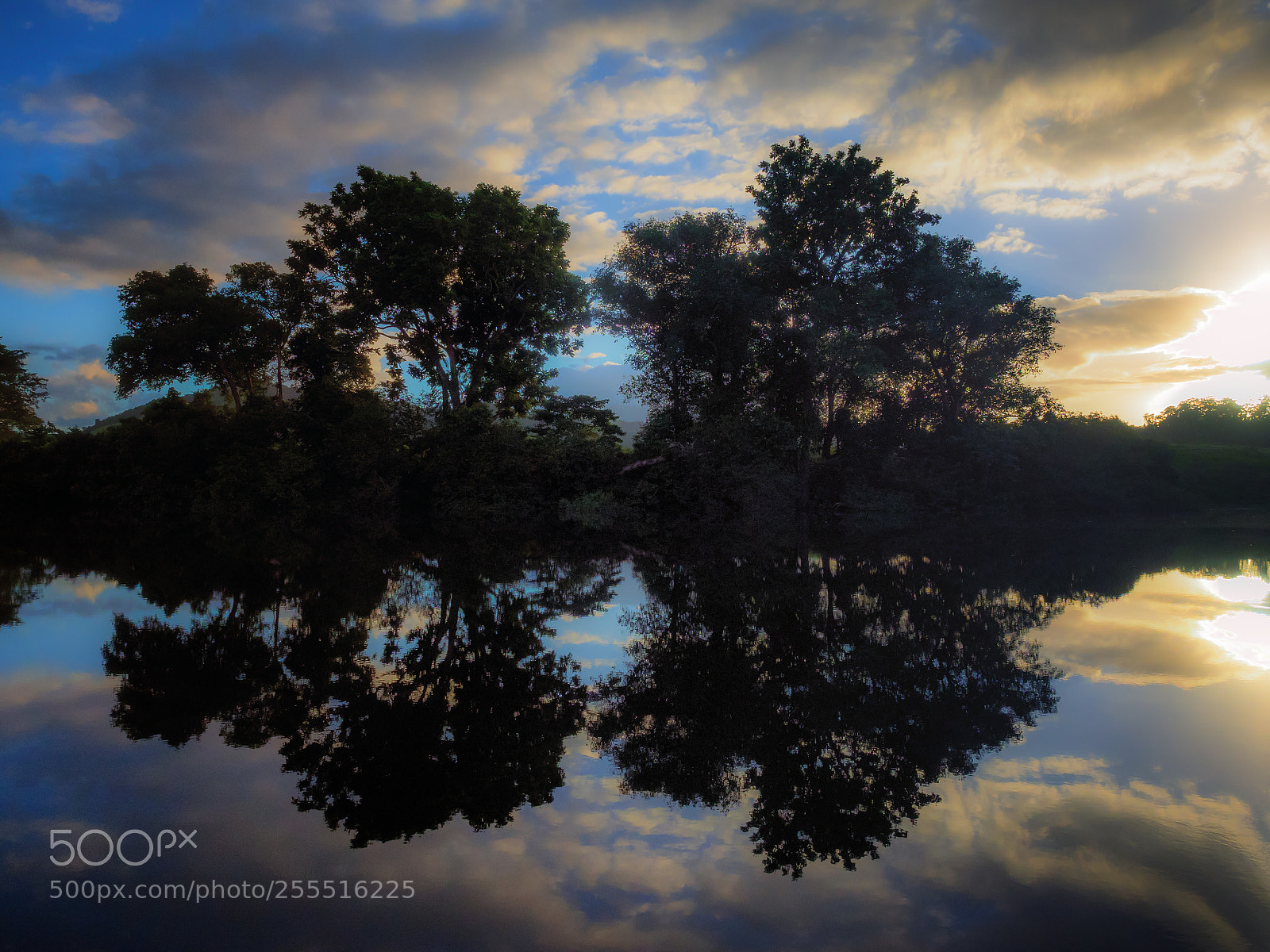 Olympus OM-D E-M1 sample photo. Daintree sunrise photography