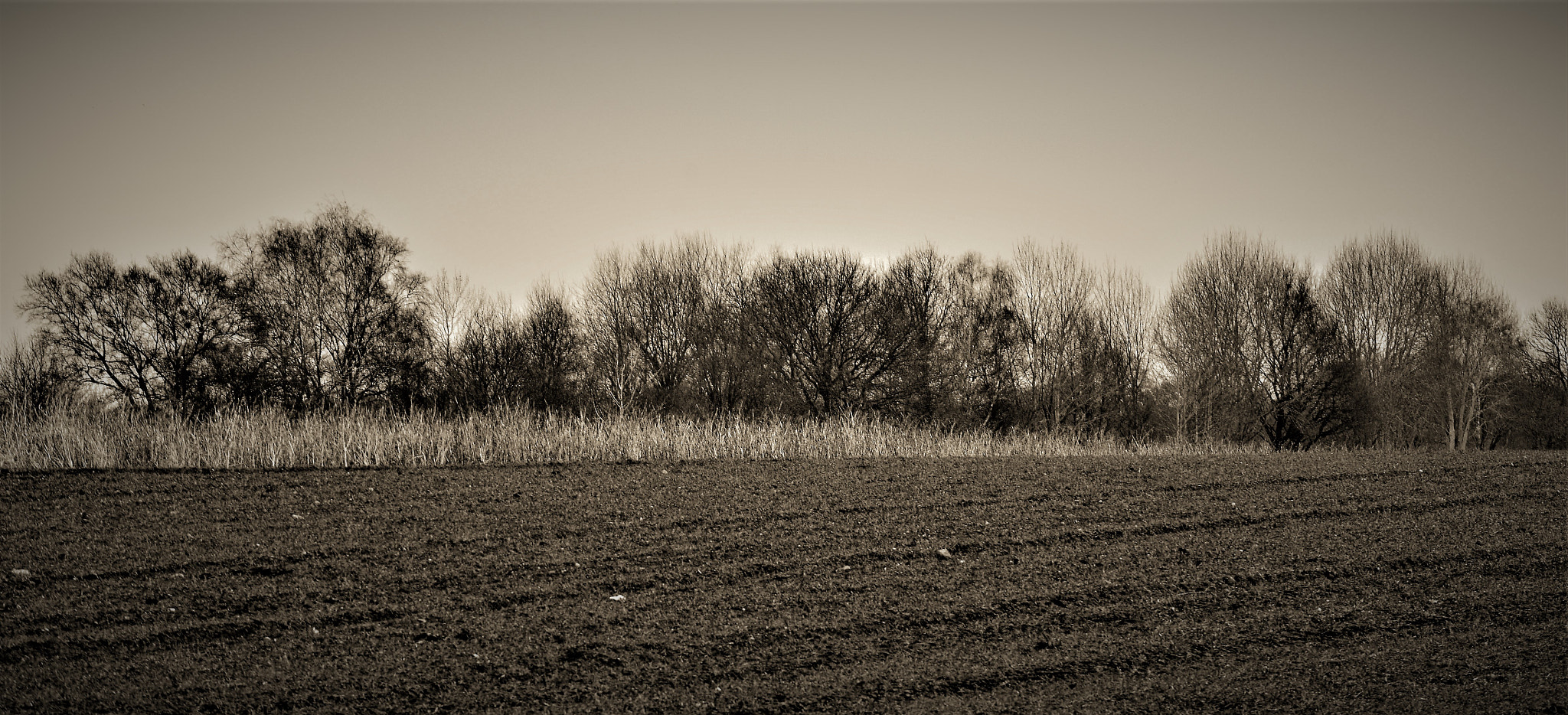 Nikon D5100 sample photo. Countryside photography