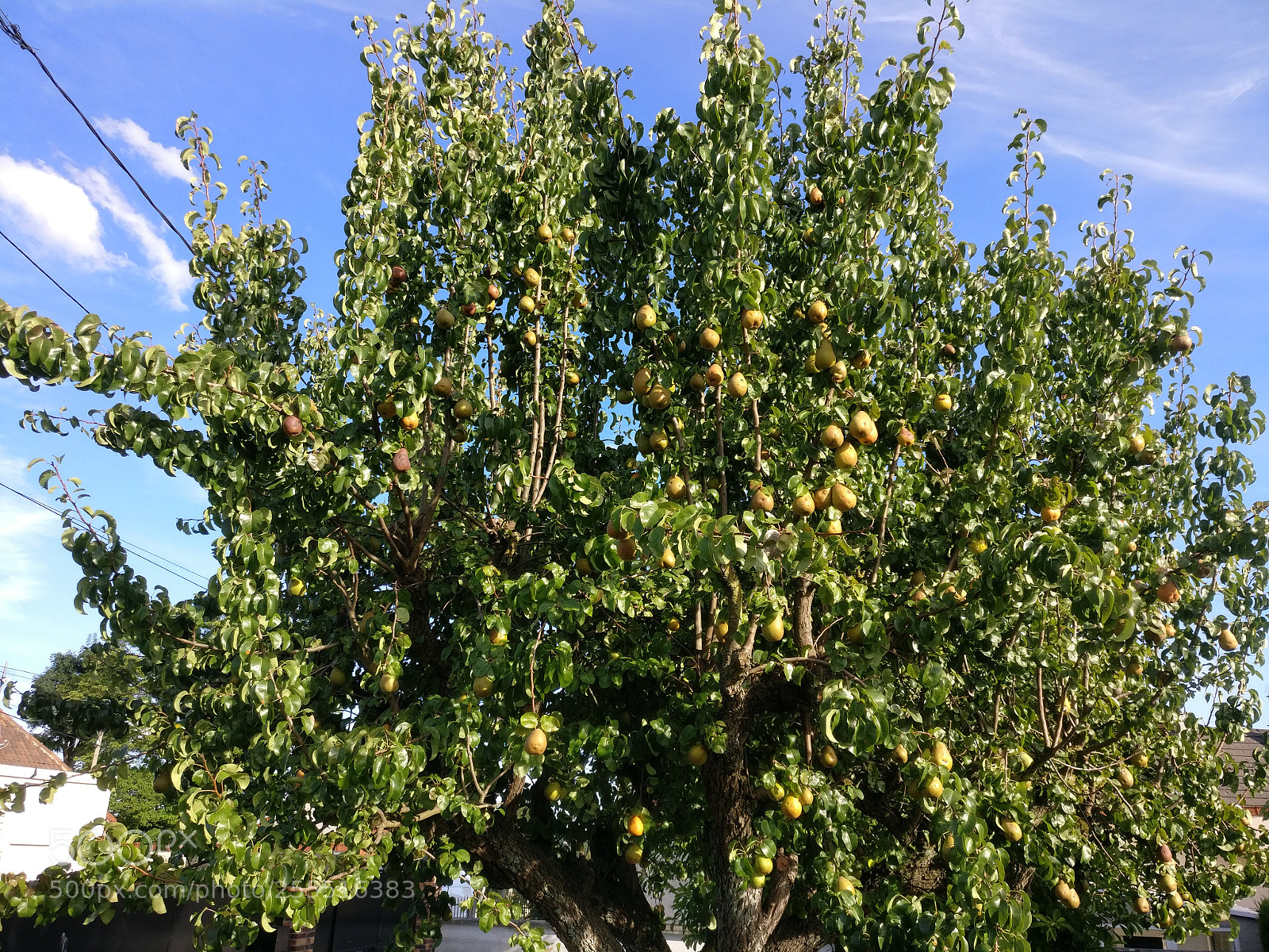 OnePlus A3003 sample photo. Img_20170814_184801.jpg photography