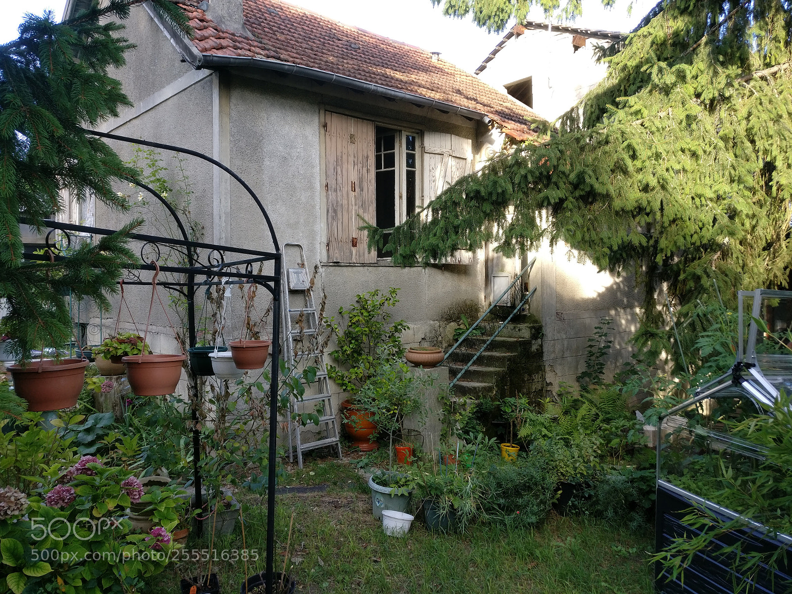 OnePlus A3003 sample photo. Img_20170814_185138.jpg photography