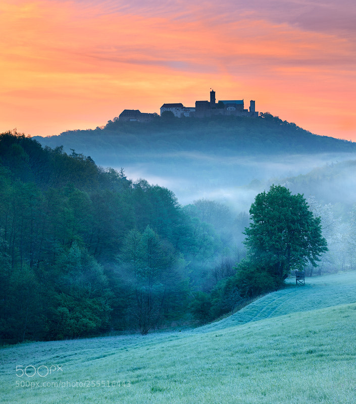 Nikon D800 sample photo. Wartburg sunrise photography