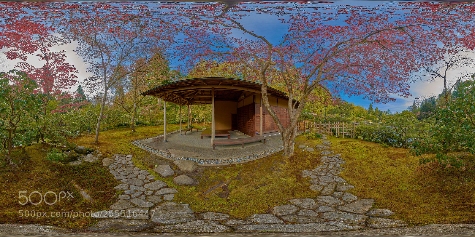 Nikon D7100 sample photo. Tea house & garden path photography