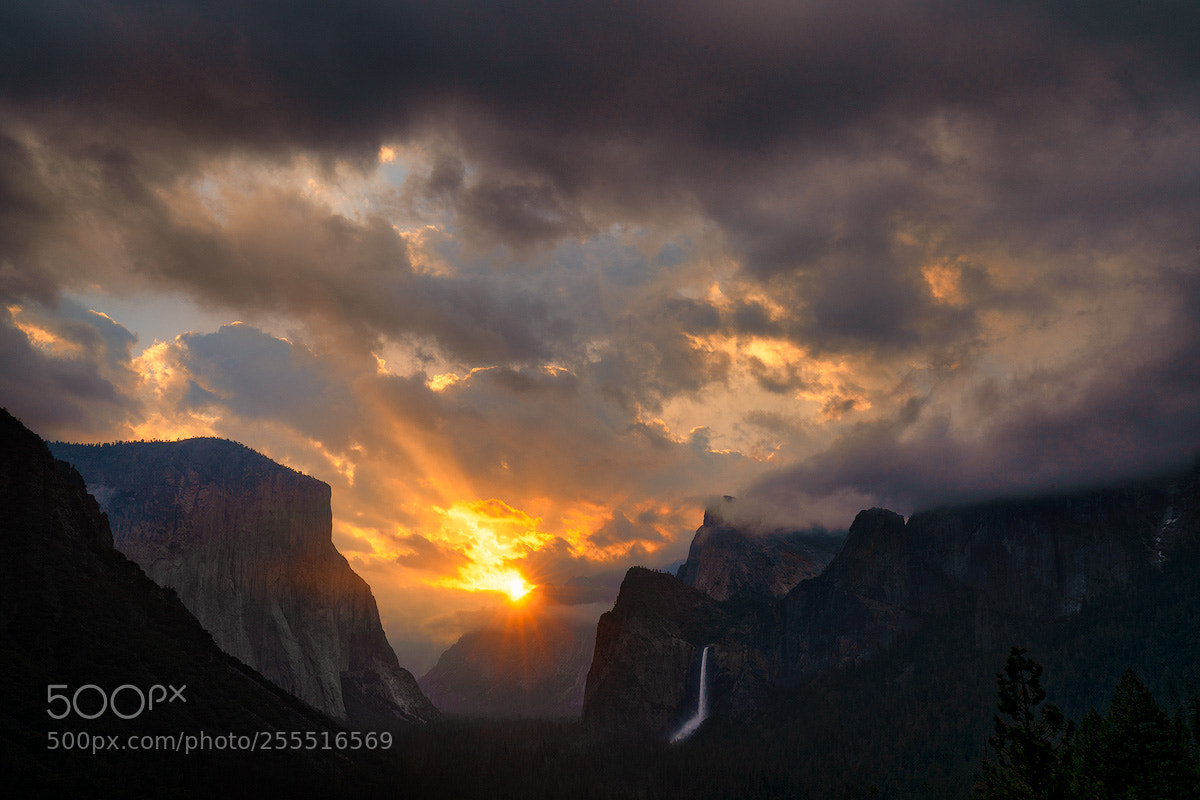 Sony a7R III sample photo. Sunburst over yosemite valley photography