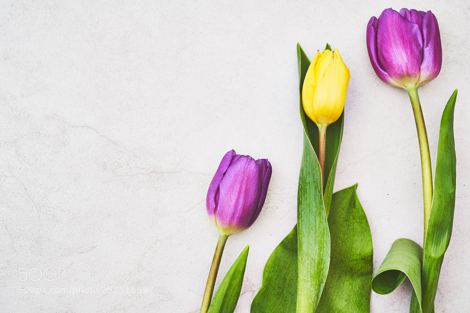 Sony a7R III sample photo. Day one hundred & seventeen photography