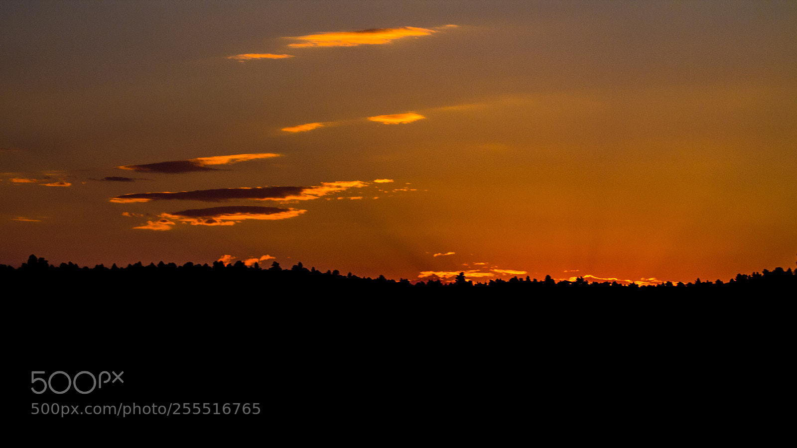 Canon EOS 1100D (EOS Rebel T3 / EOS Kiss X50) sample photo. Sunrise at gurnsey state photography
