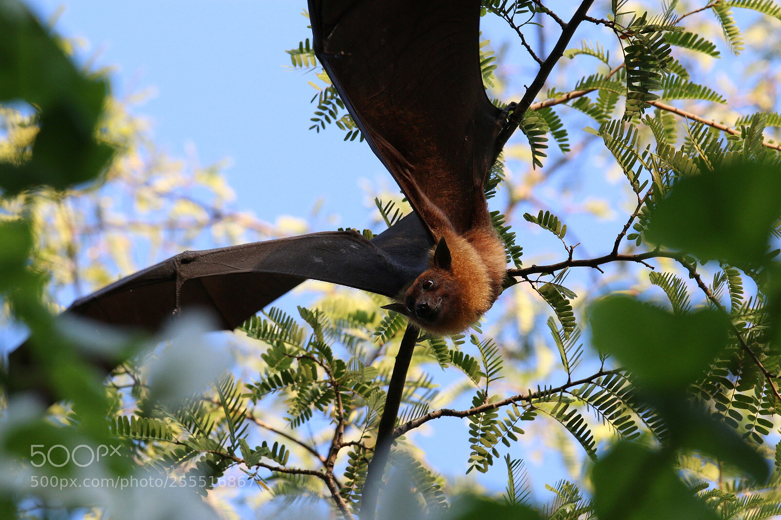 Canon EOS 70D sample photo. Untitled photography