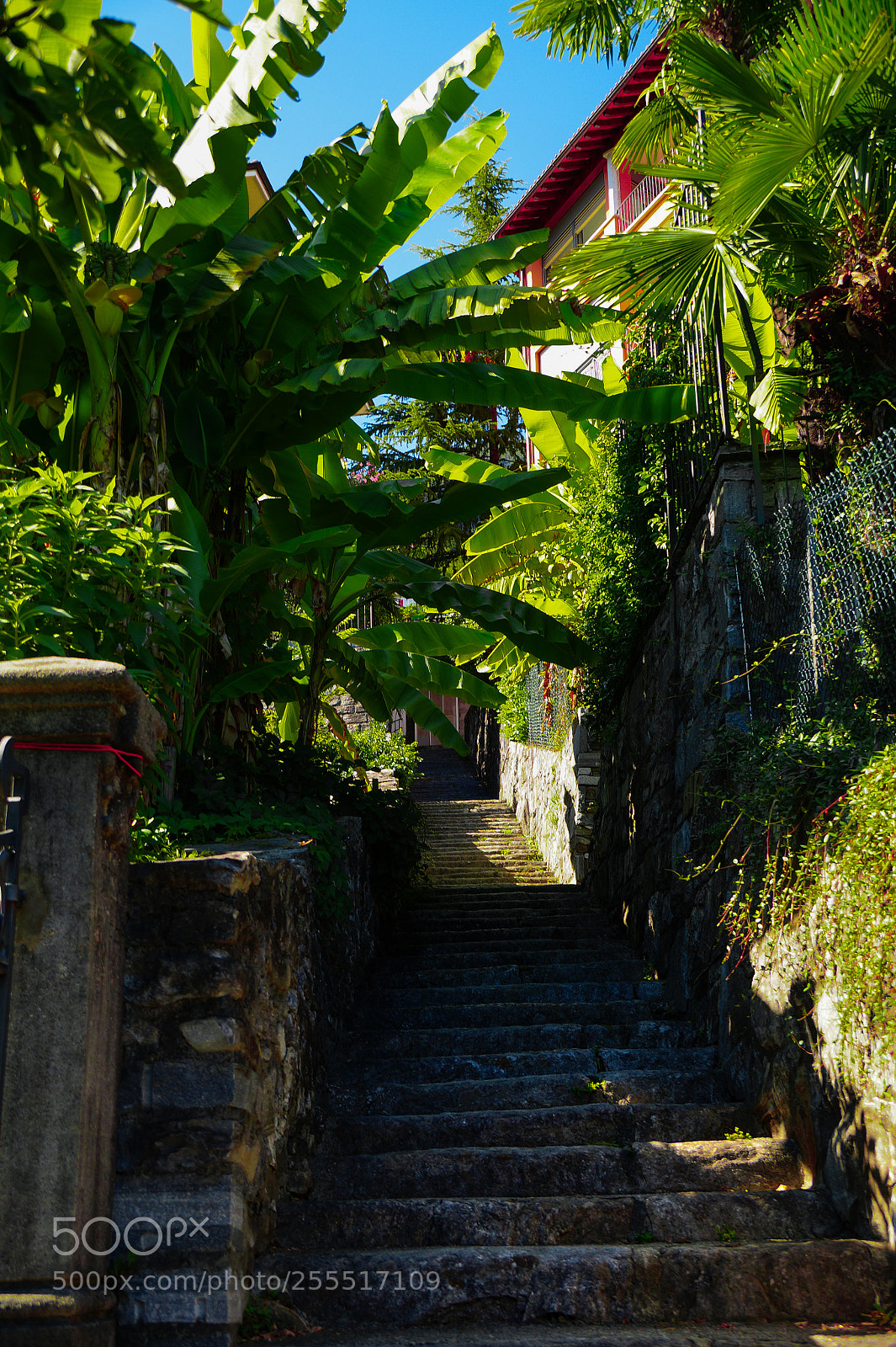 Sony SLT-A58 sample photo. Stairway to heaven photography