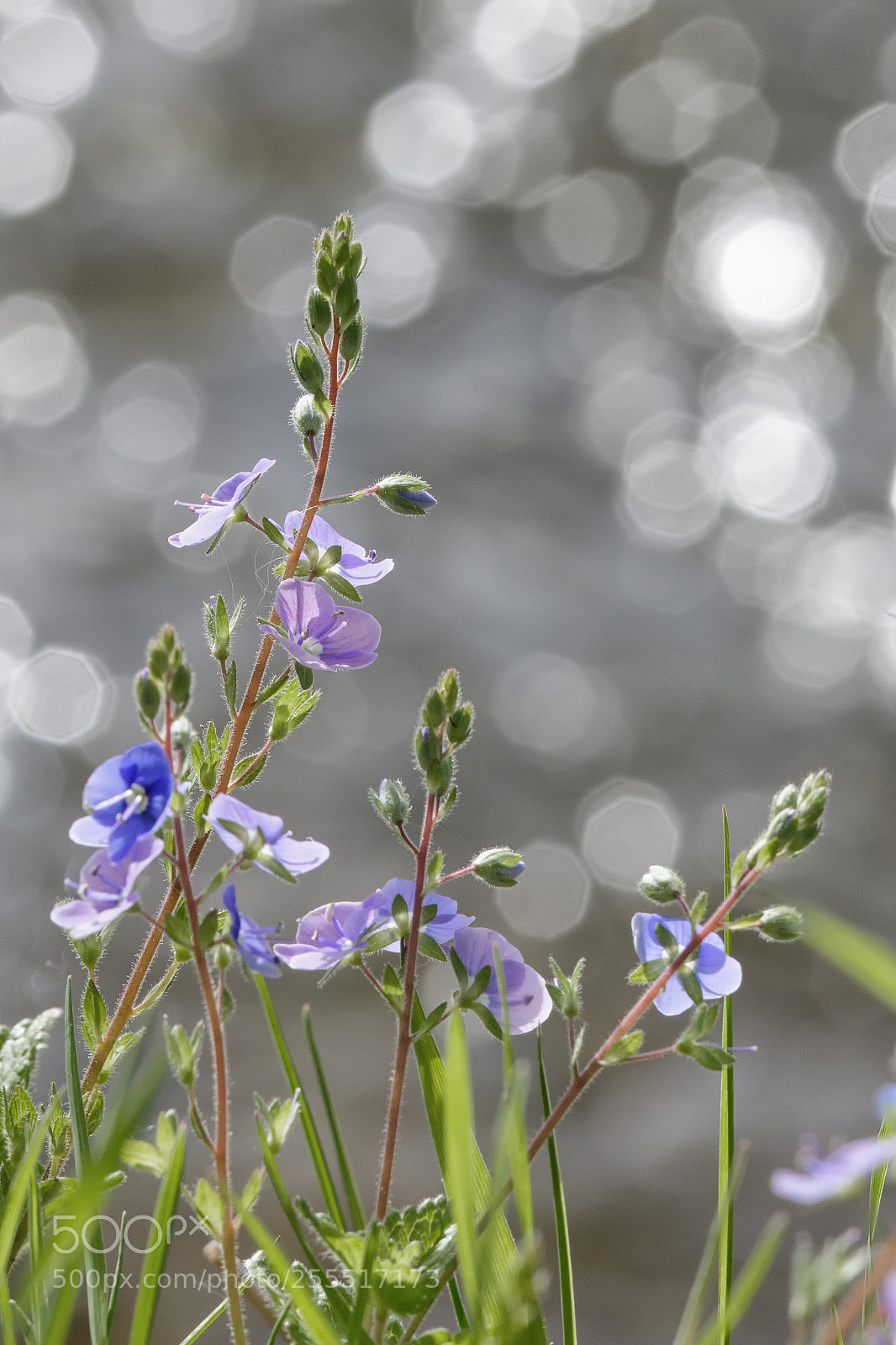 Canon EOS 7D Mark II sample photo. Ka photography