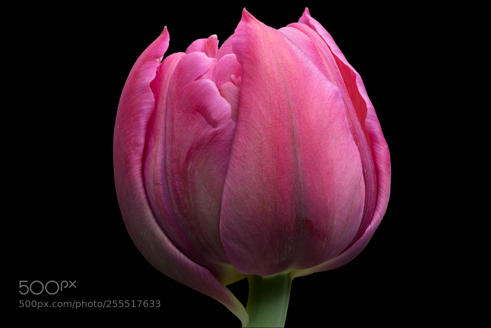 Sony a7R sample photo. Inner light photography
