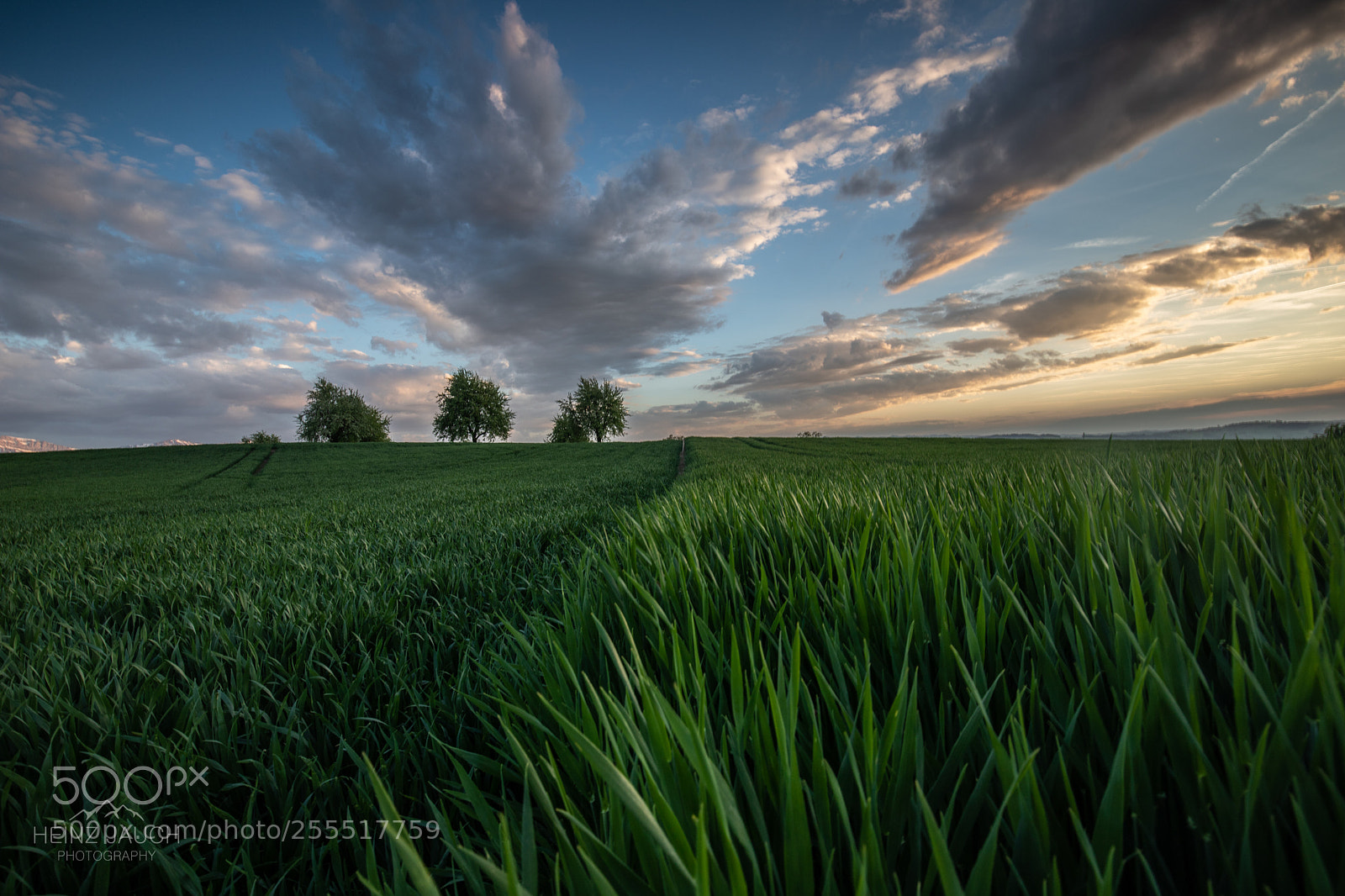 Canon EOS 6D Mark II sample photo. Schlacht von sempach photography