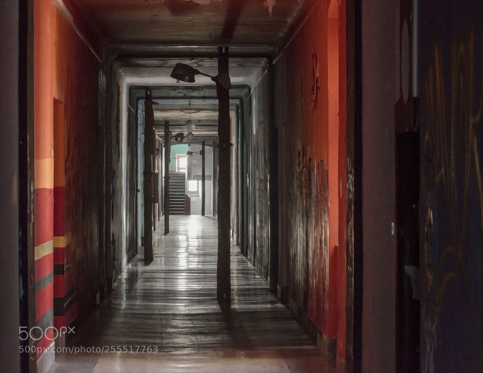 Nikon D7000 sample photo. The light photography
