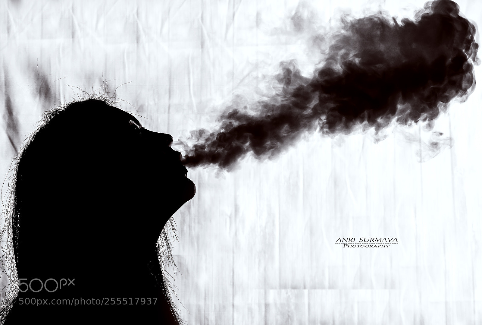 Nikon D7100 sample photo. Untitled photography