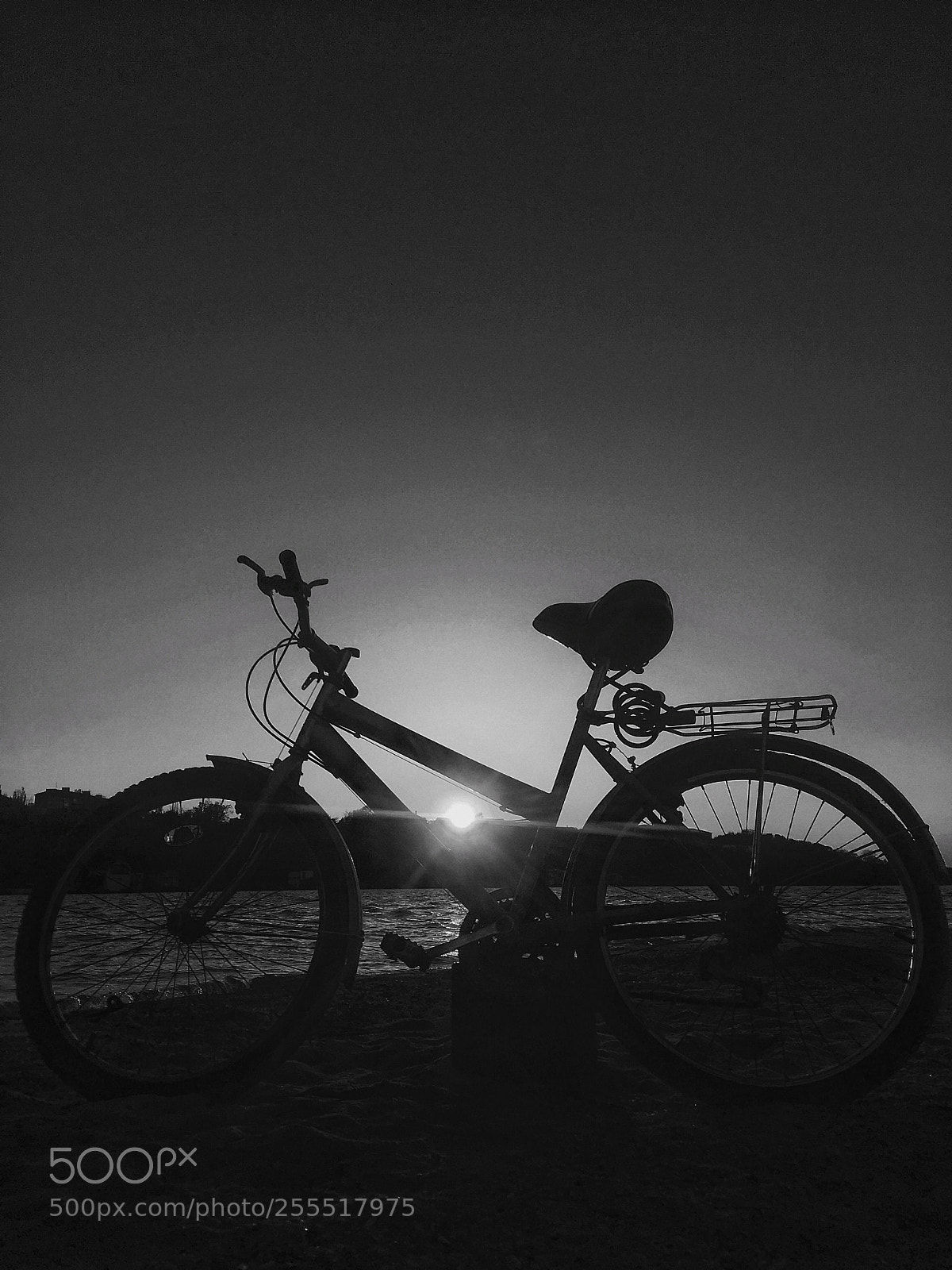 Apple iPhone 6s Plus sample photo. Bicycle photography