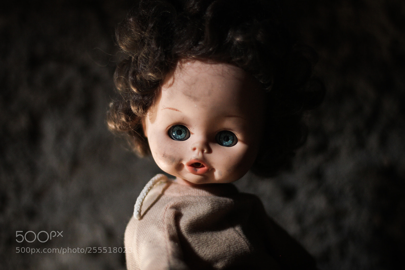 Canon EOS 7D sample photo. I see you photography