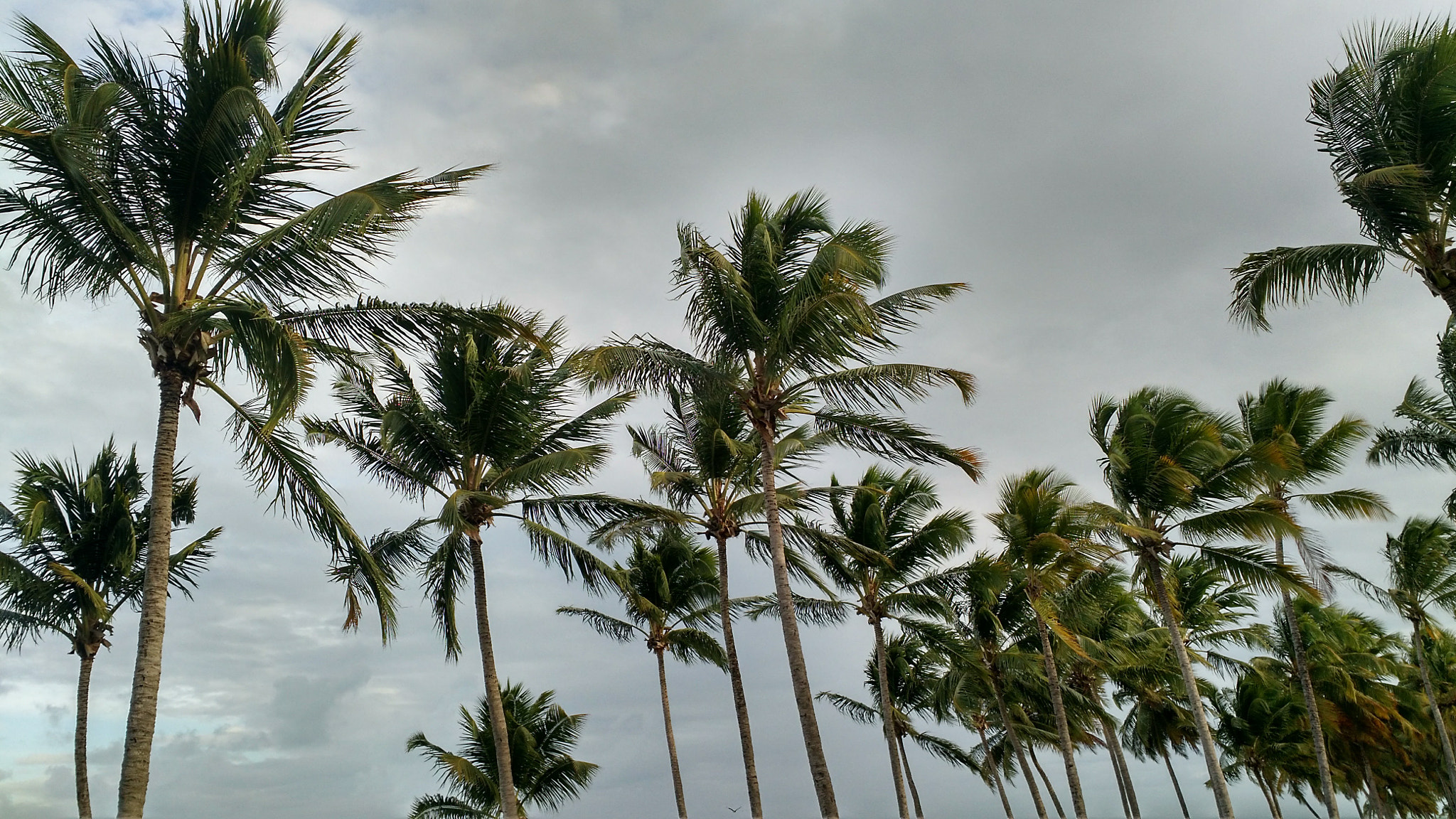 Motorola Moto X (2nd Gen) sample photo