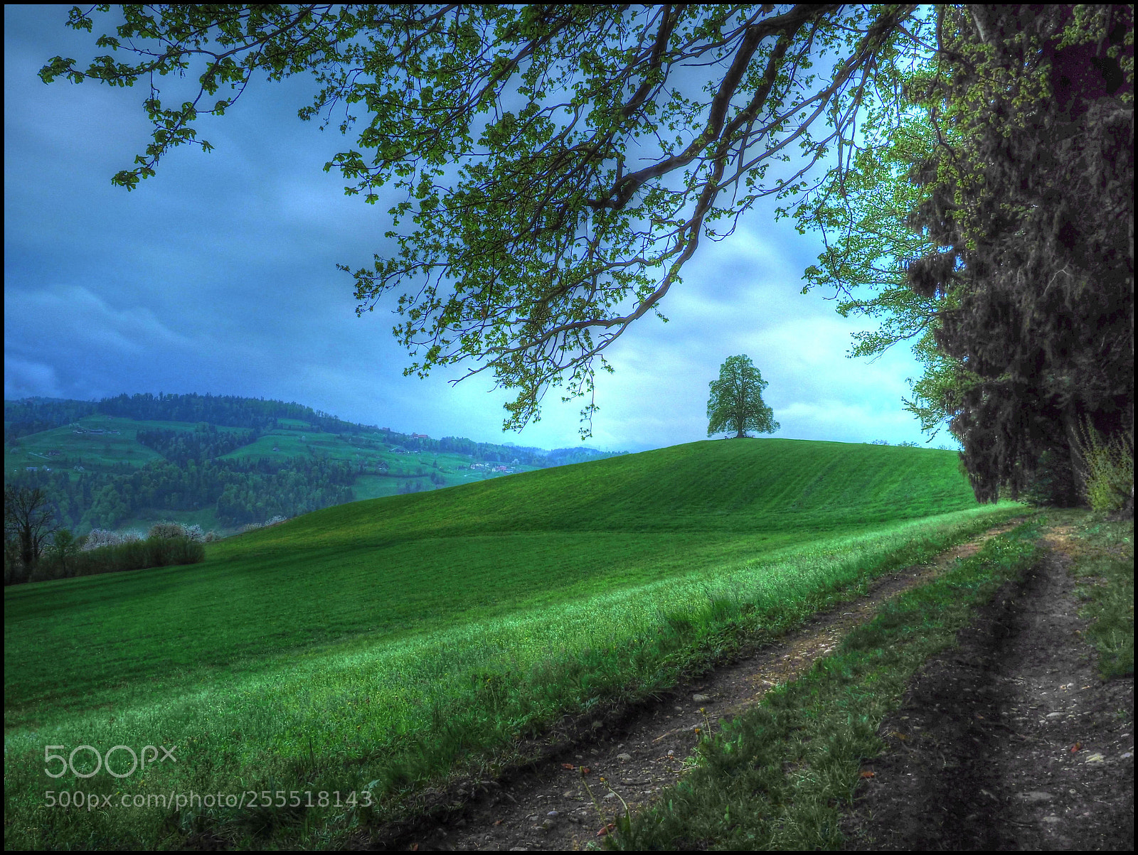 Olympus OM-D E-M1 Mark II sample photo. Malerisch photography