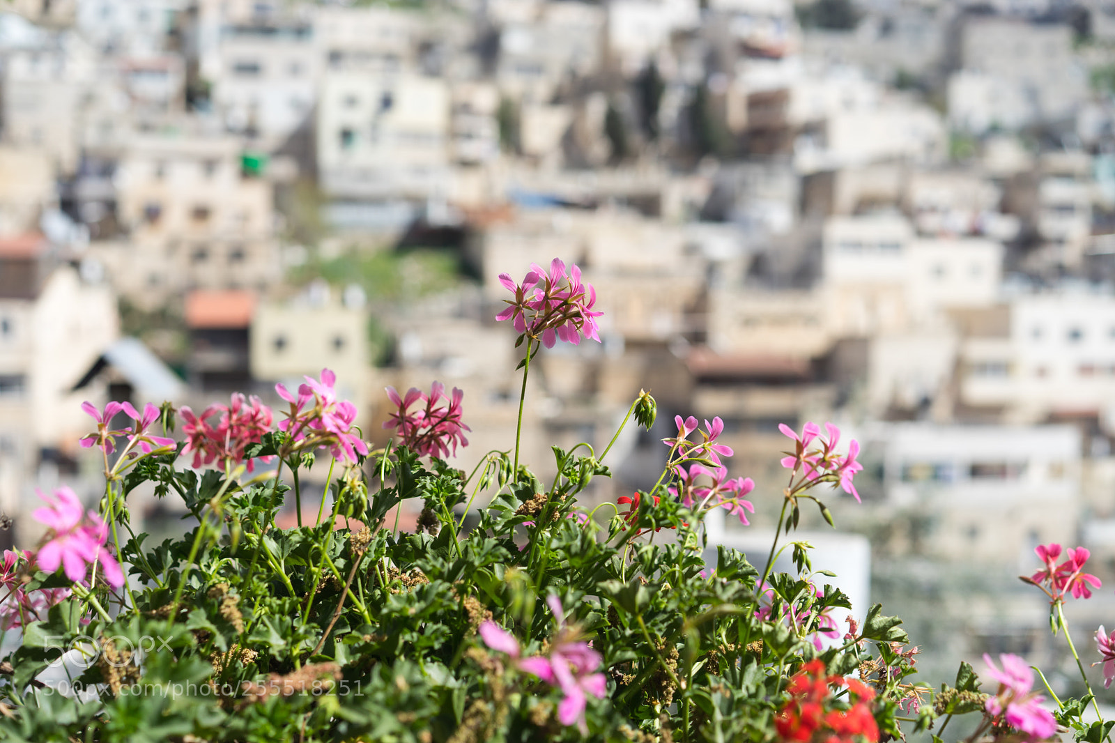 Sony a7 II sample photo. Ancient historical places of photography