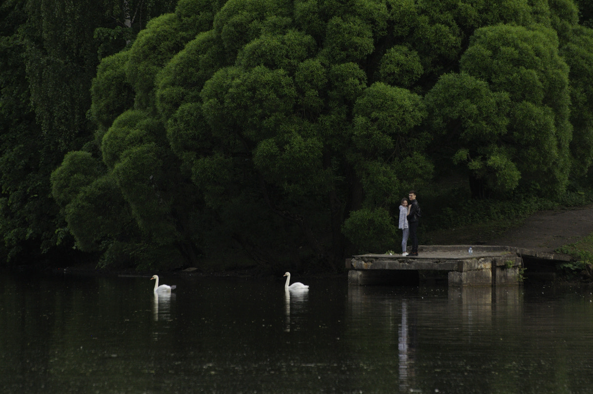 Nikon D90 sample photo. 2+2 photography