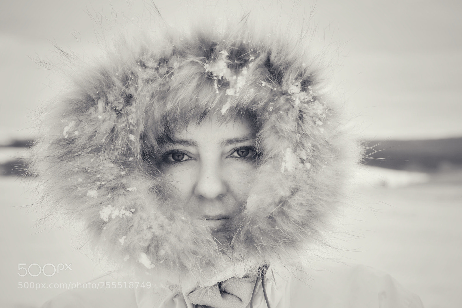 Nikon D500 sample photo. Snow queen  photography