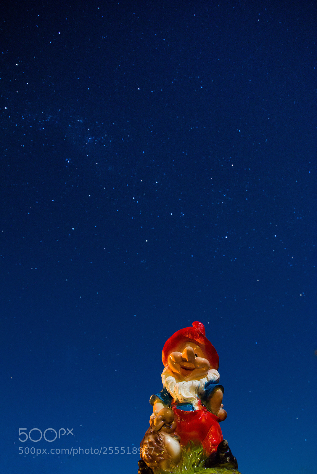 Nikon D7100 sample photo. ? photography
