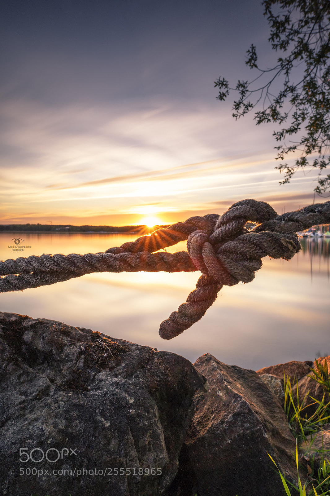 Canon EOS 7D Mark II sample photo. Only a knot photography