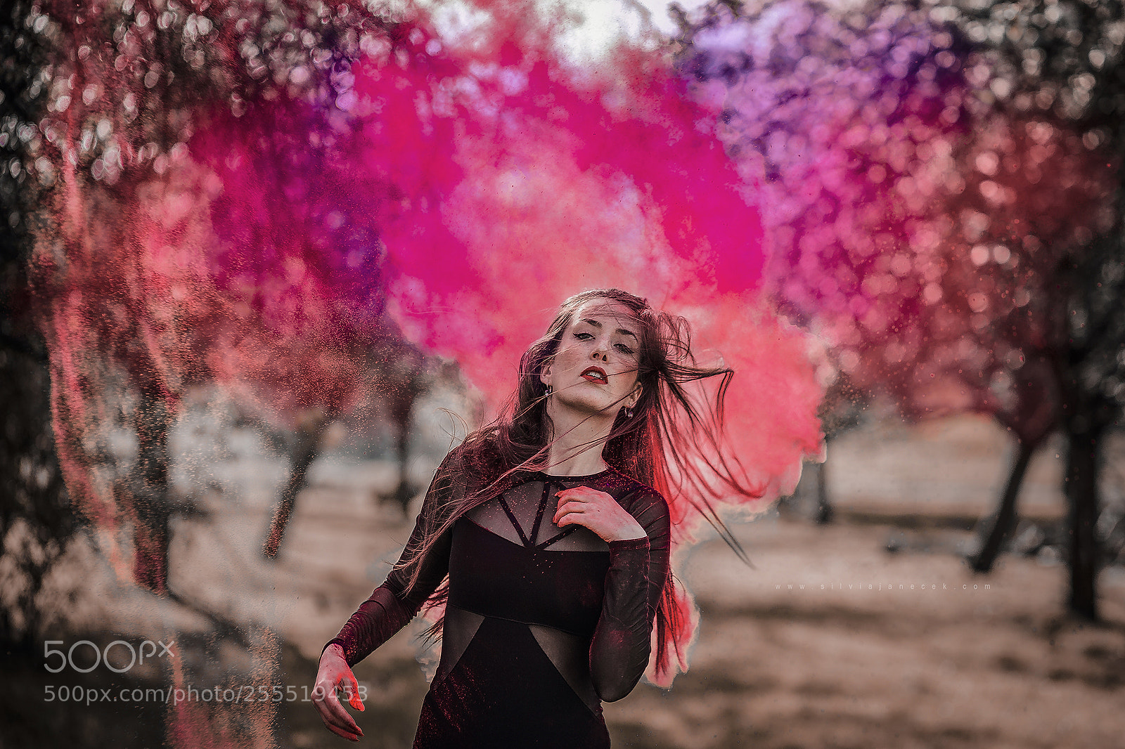 Canon EOS 6D sample photo. Holi photography