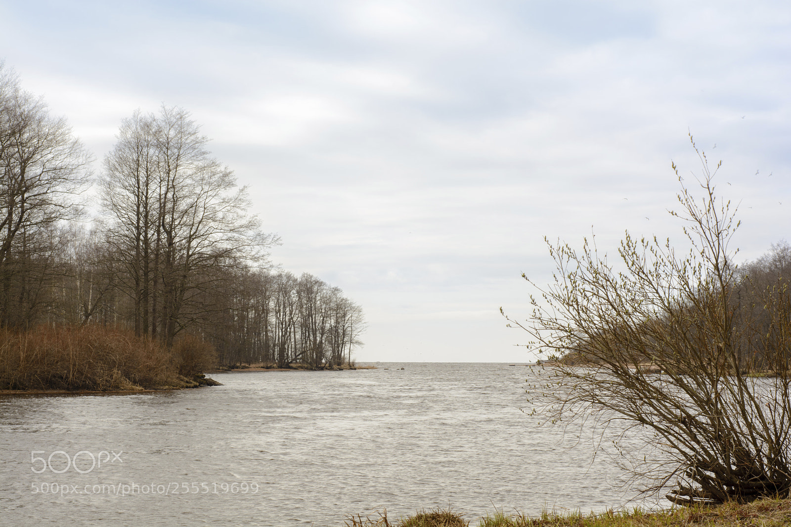 Nikon D7100 sample photo. Spring landscape on the photography