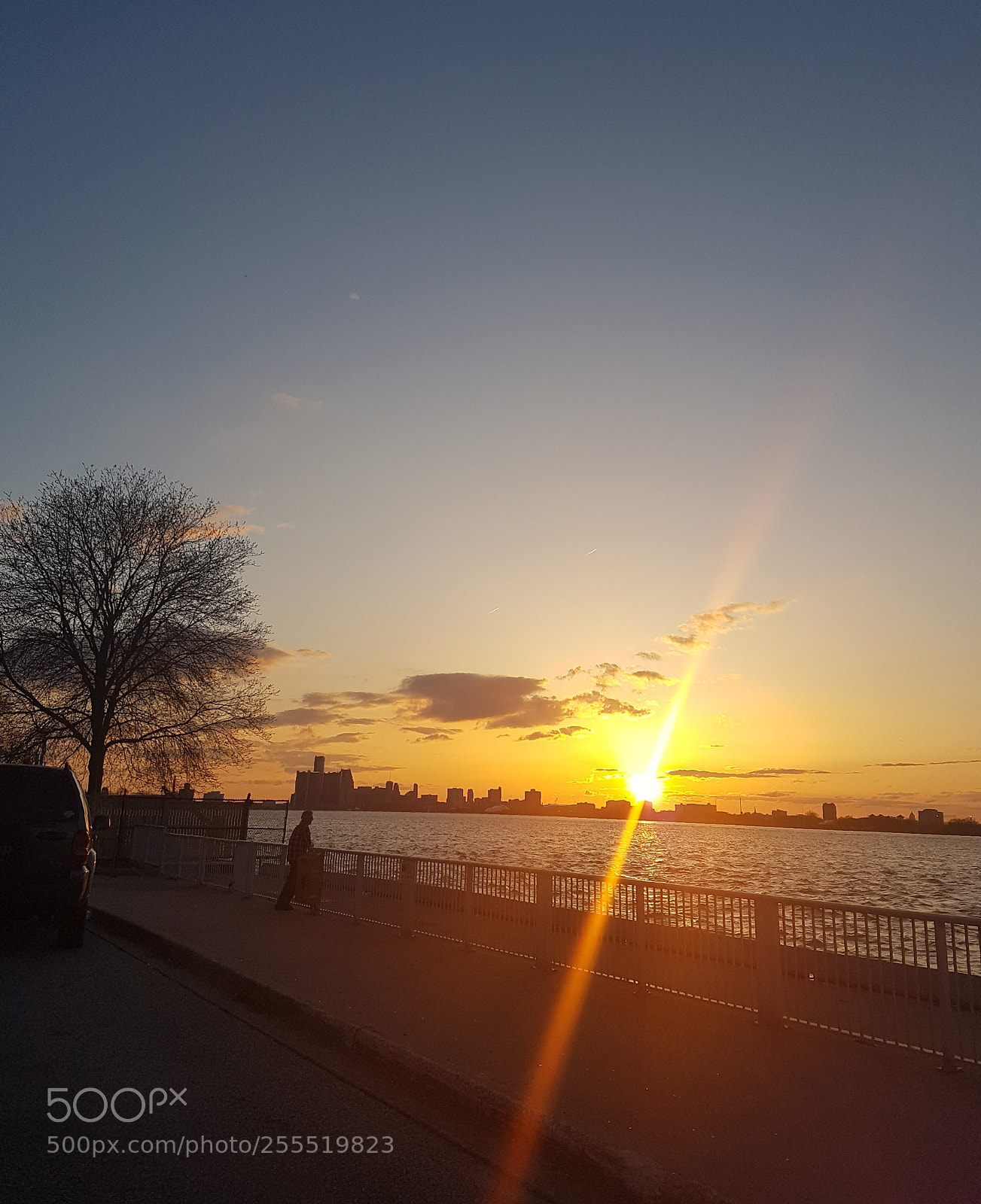 Samsung Galaxy S7 sample photo. My saving grace photography