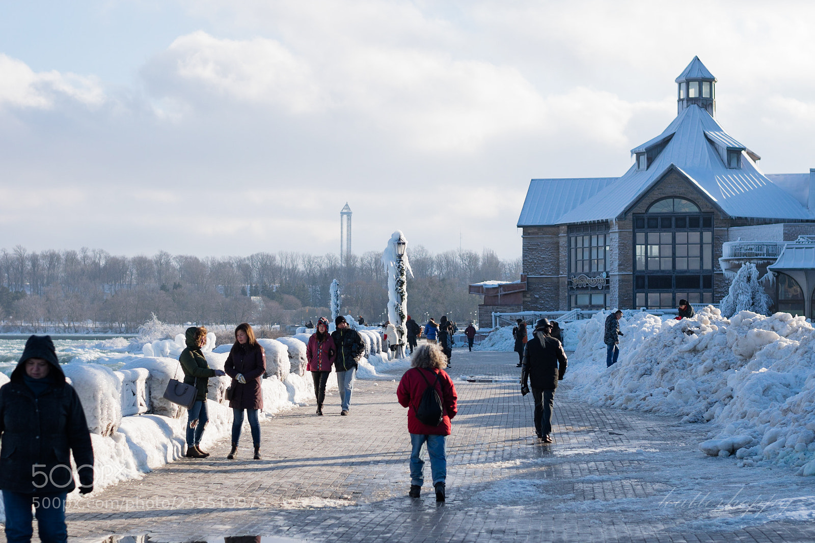 Nikon D3300 sample photo. Frozen day photography