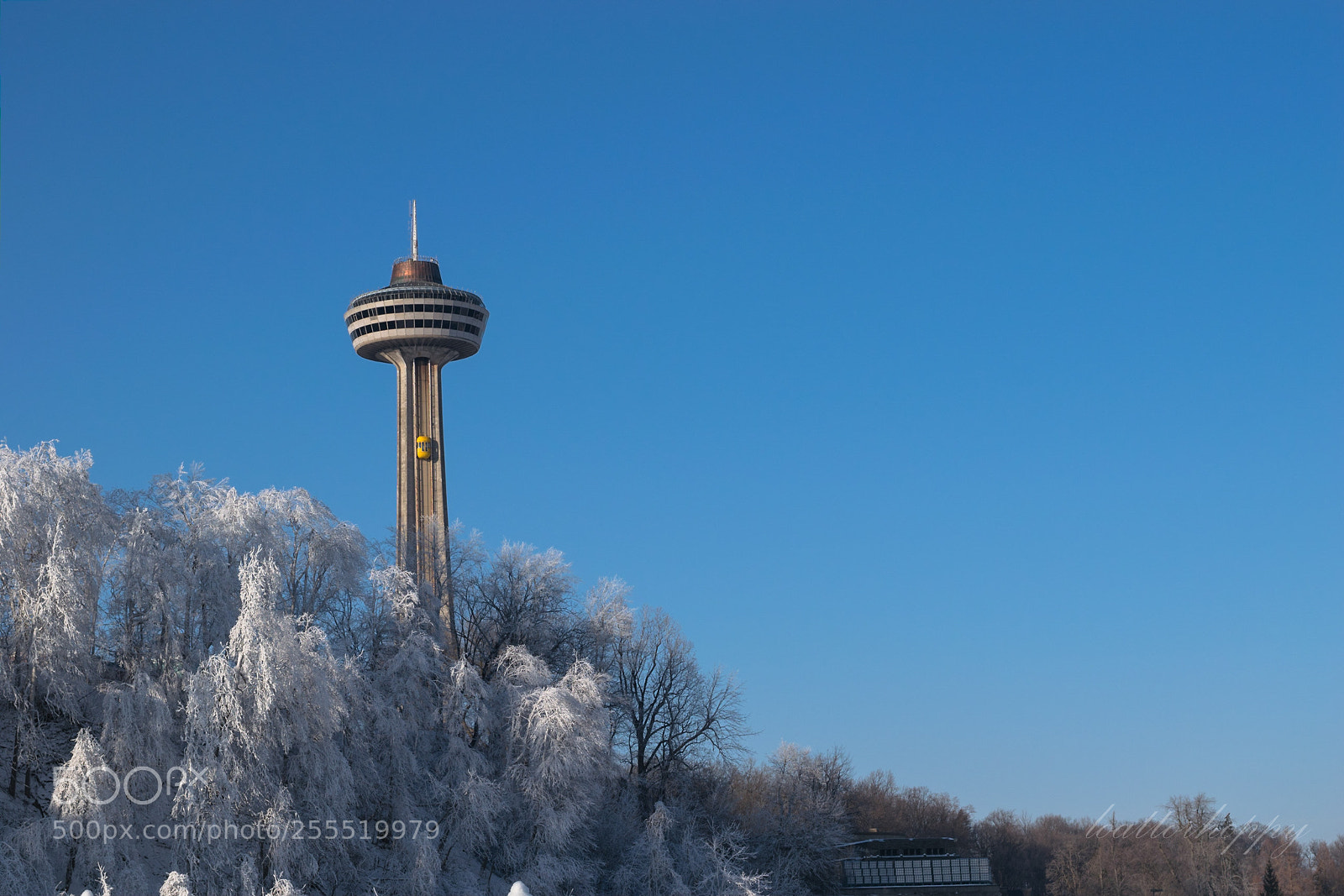 Nikon D3300 sample photo. Skylon tower photography