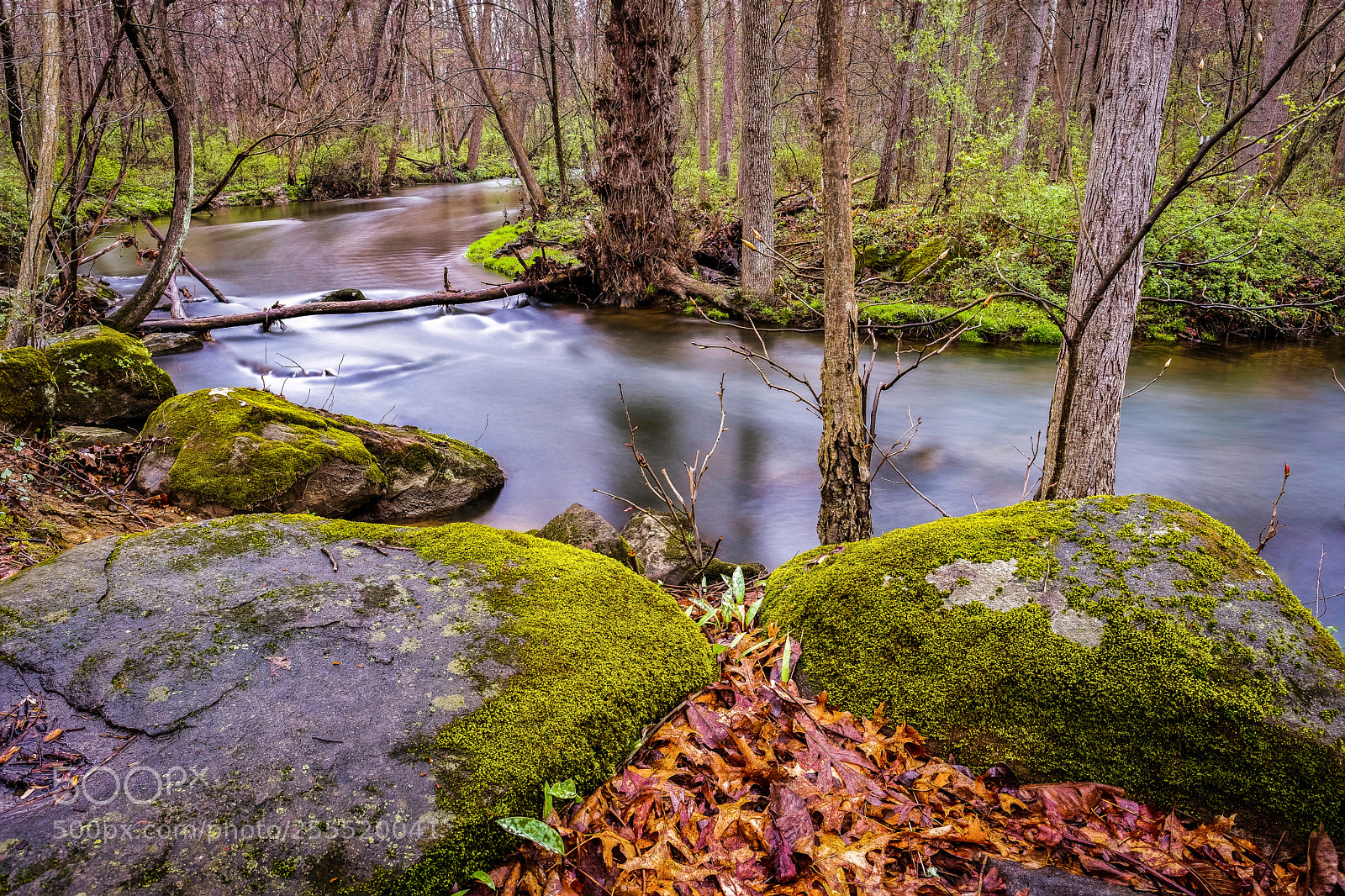 Fujifilm X-T2 sample photo. Stream in woods photography
