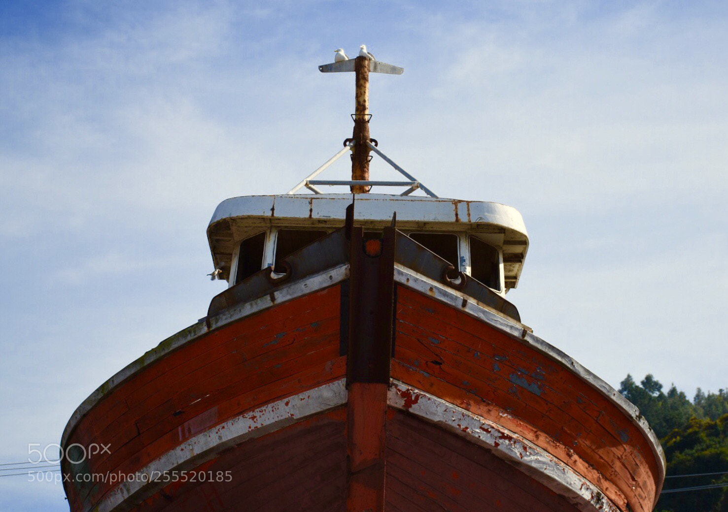 Nikon D5500 sample photo. Caleta tumbes. photography