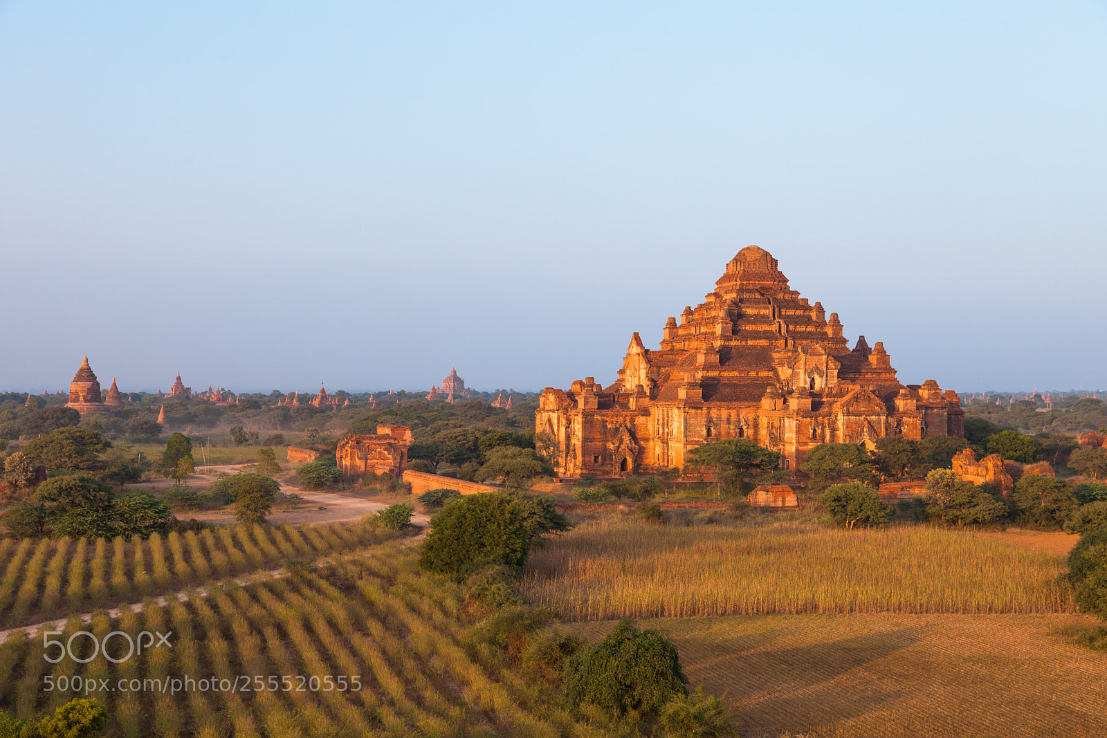 Canon EOS 5D Mark II sample photo. Dhammayangyi temple after sunset photography