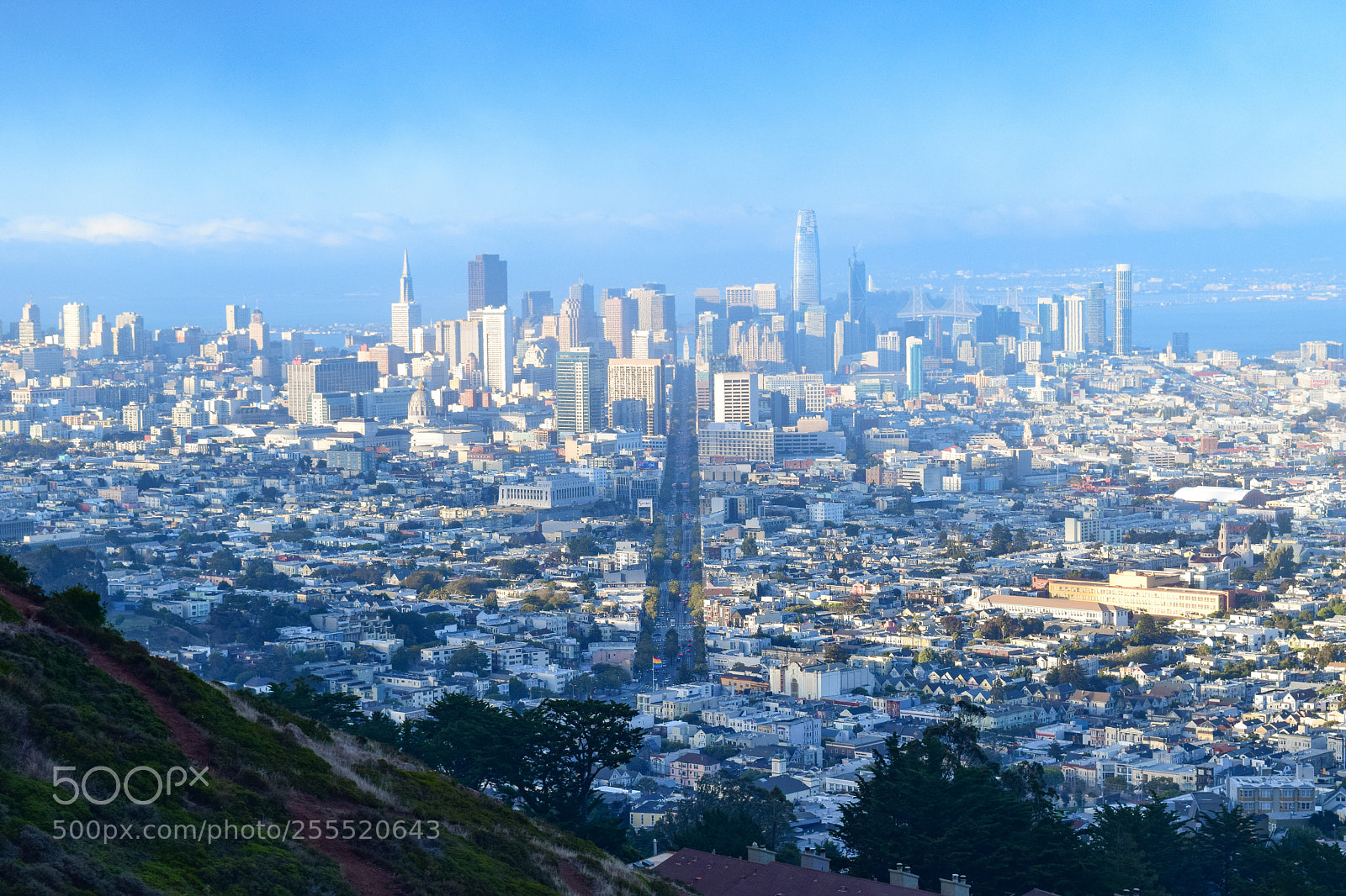 Nikon D3300 sample photo. Sunlit cityscape photography