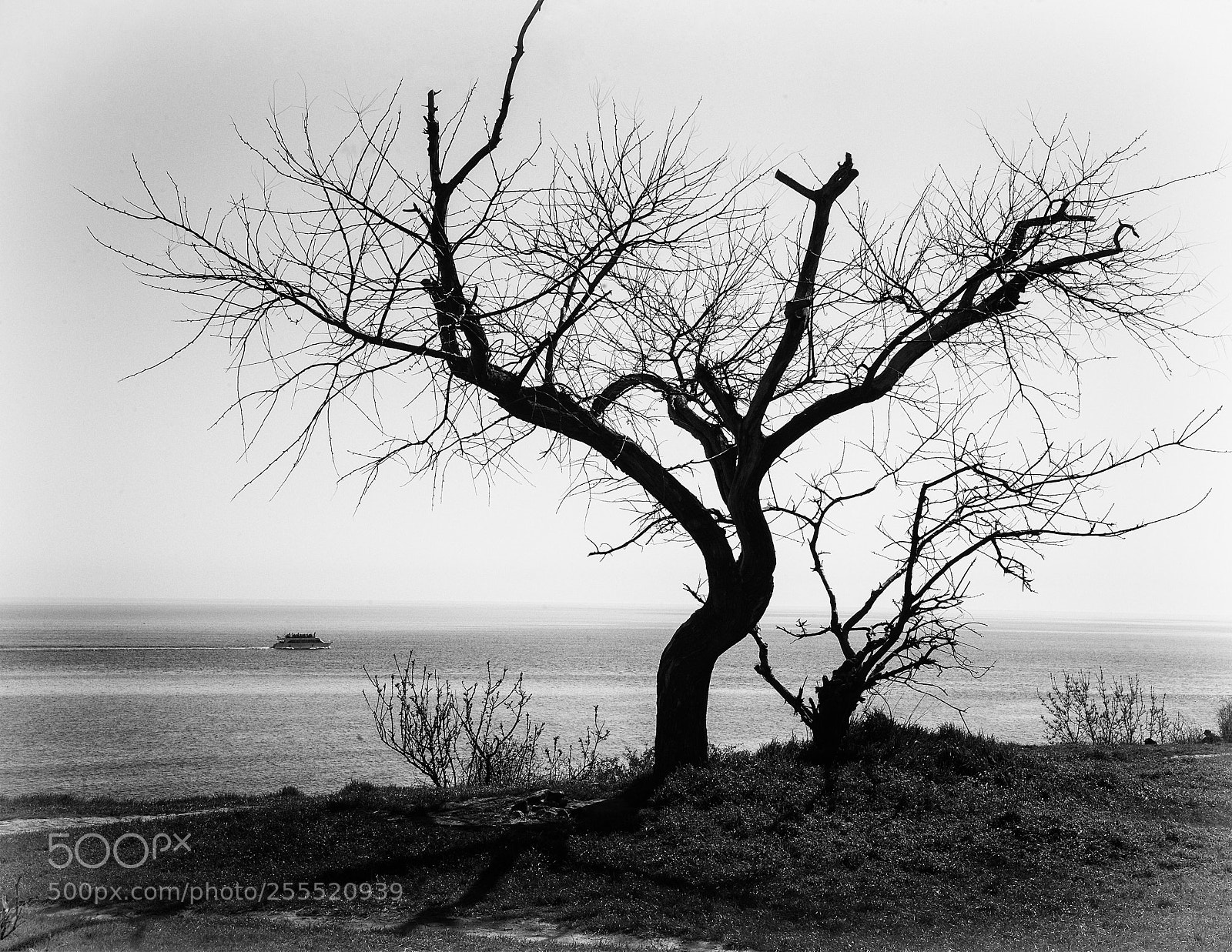 Canon EOS 5D sample photo. Untitled photography