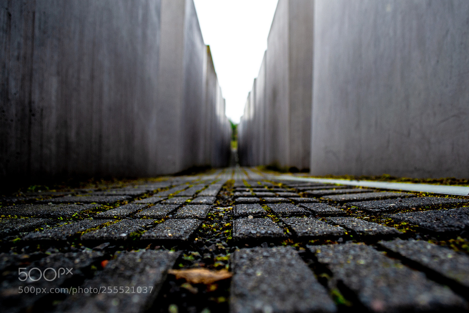 Nikon D3100 sample photo. The dark passage of photography