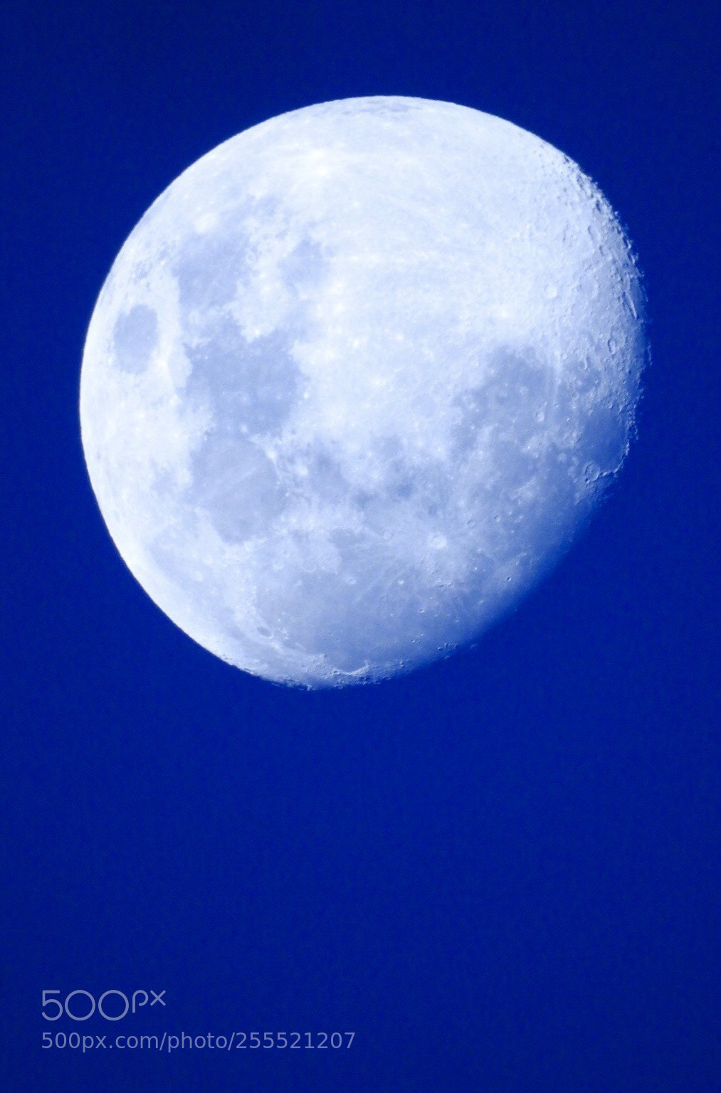 Nikon Coolpix P900 sample photo. Moon  photography