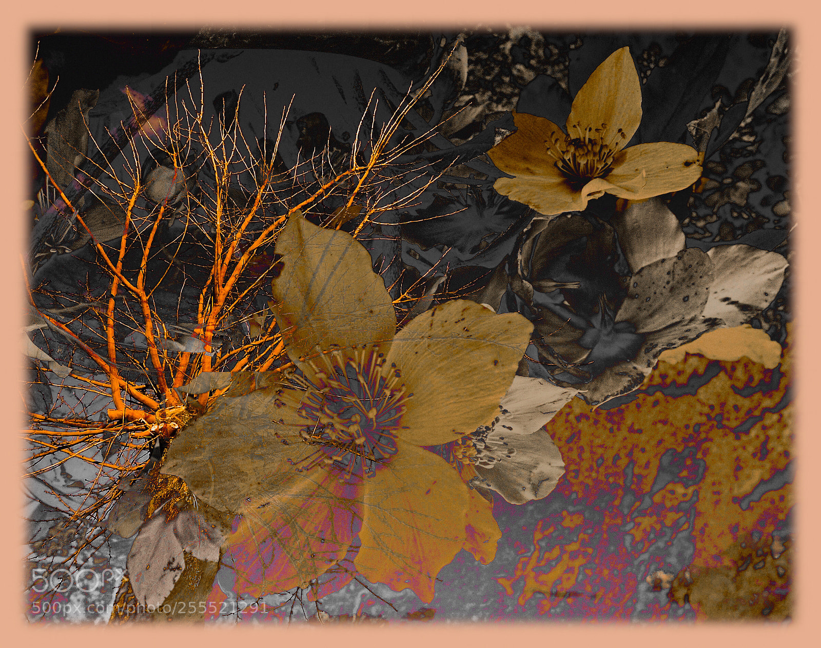 Nikon D610 sample photo. Untitled photography
