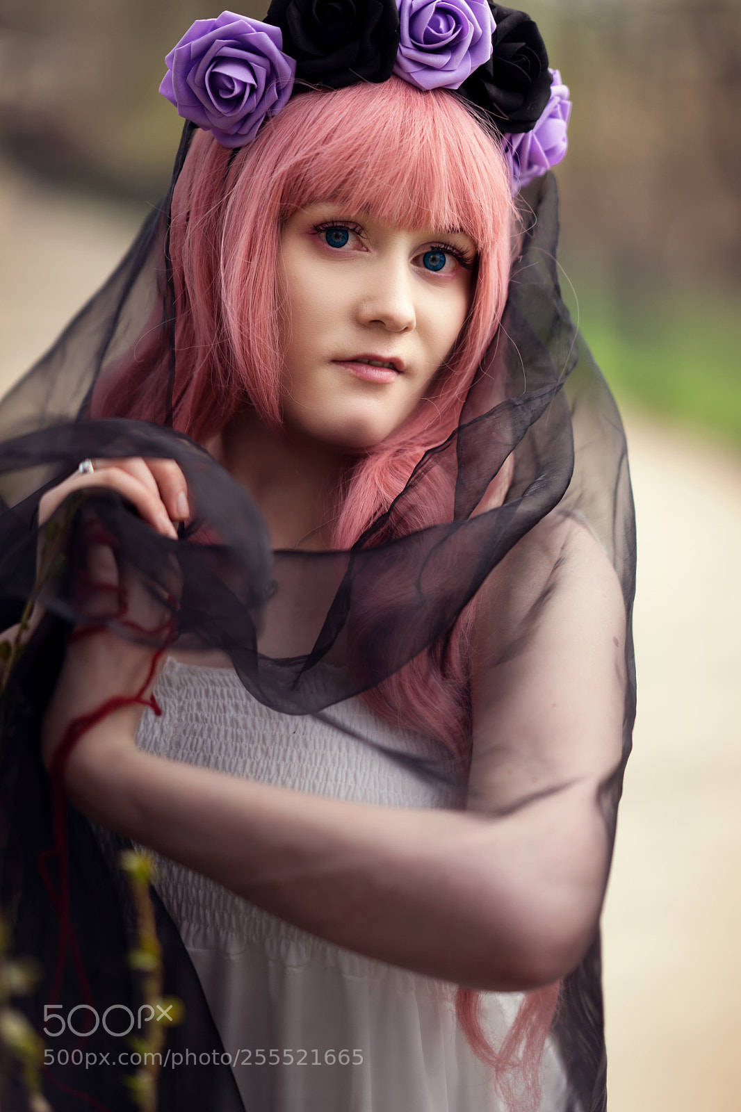 Sony a7 II sample photo. Untitled photography