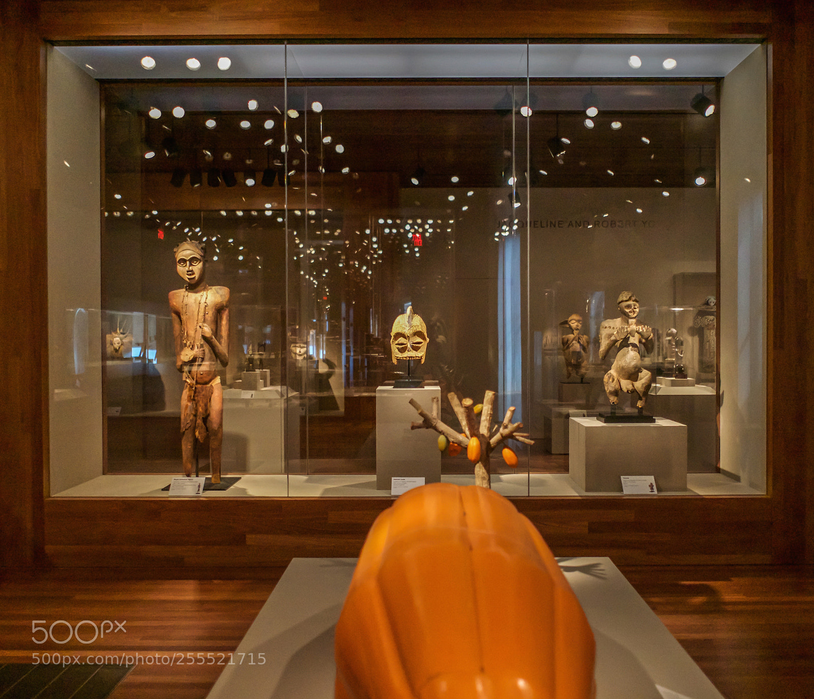 Sony a7 sample photo. De young museum s.f photography