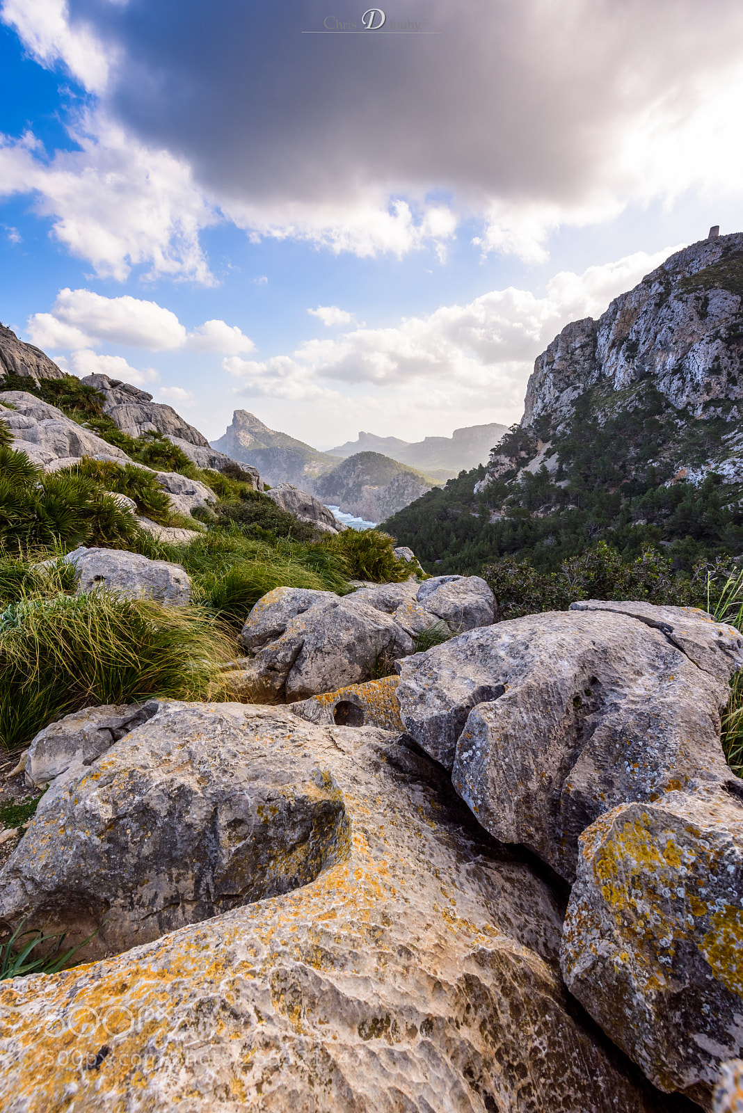 Nikon D810 sample photo. Mallorca photography