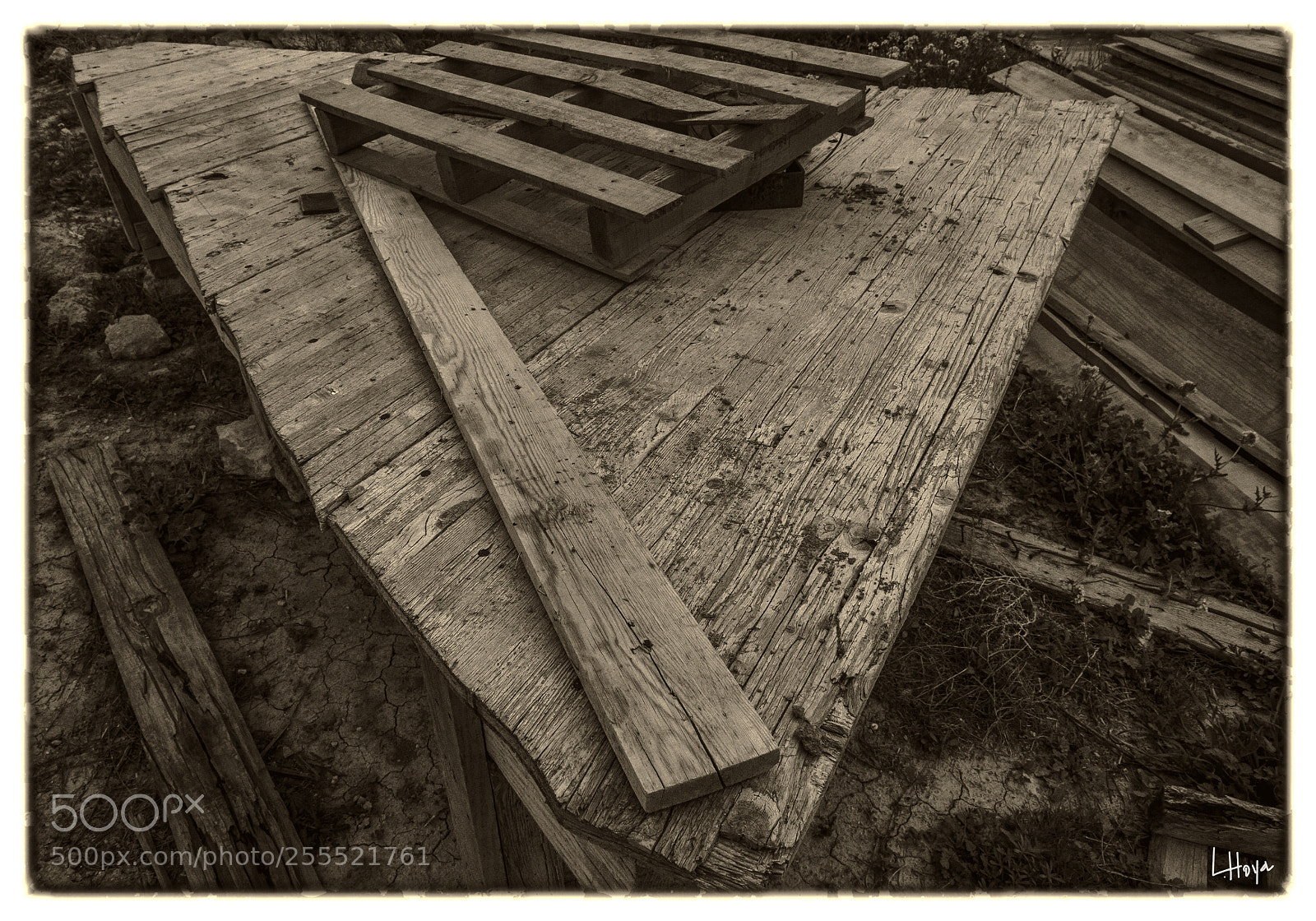 Nikon D610 sample photo. Untitled photography