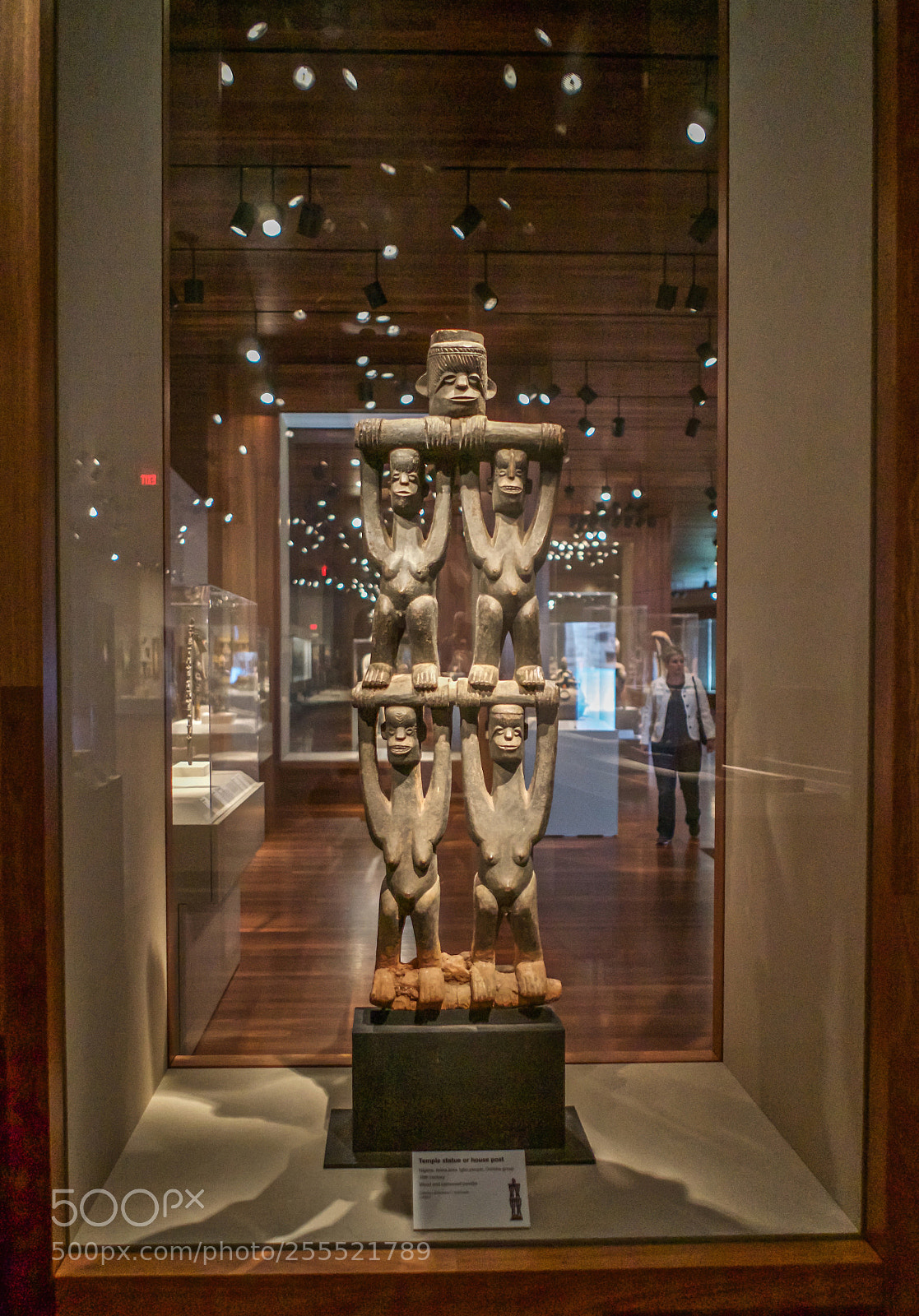 Sony a7 sample photo. De young museum s.f photography
