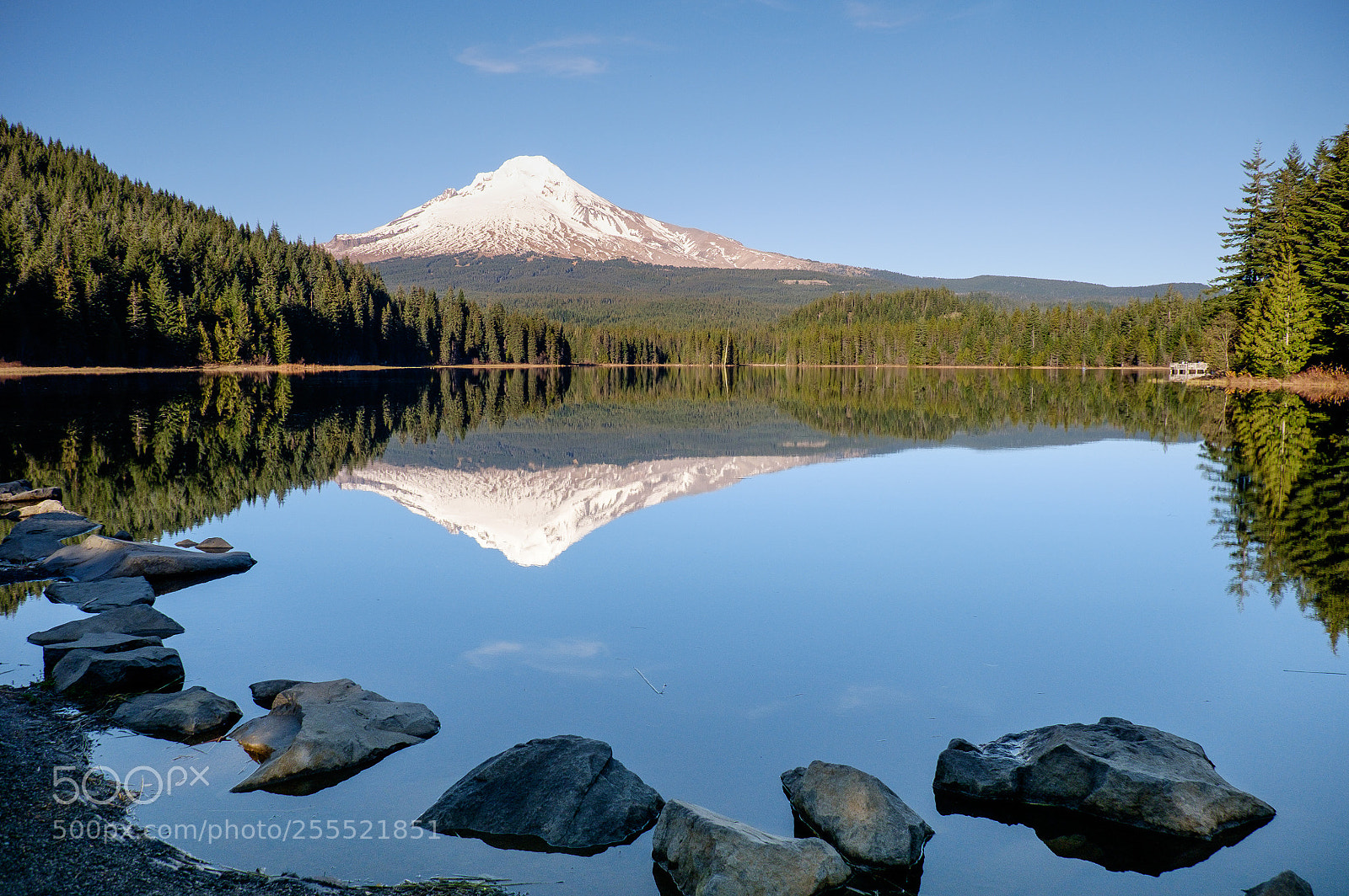 Fujifilm X-T1 sample photo. Mount hood in trillium photography