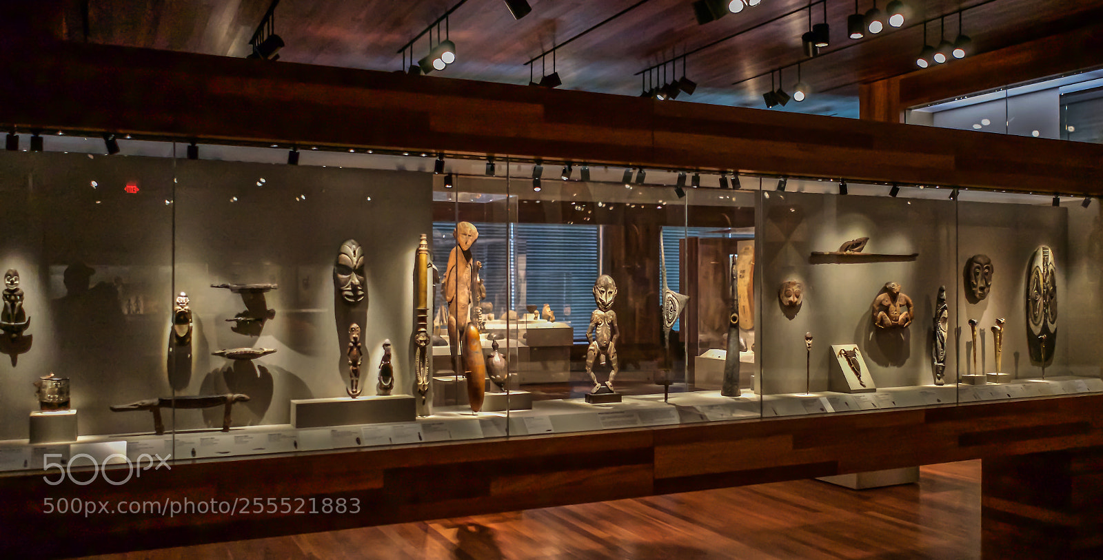 Sony a7 sample photo. De young museum s.f photography