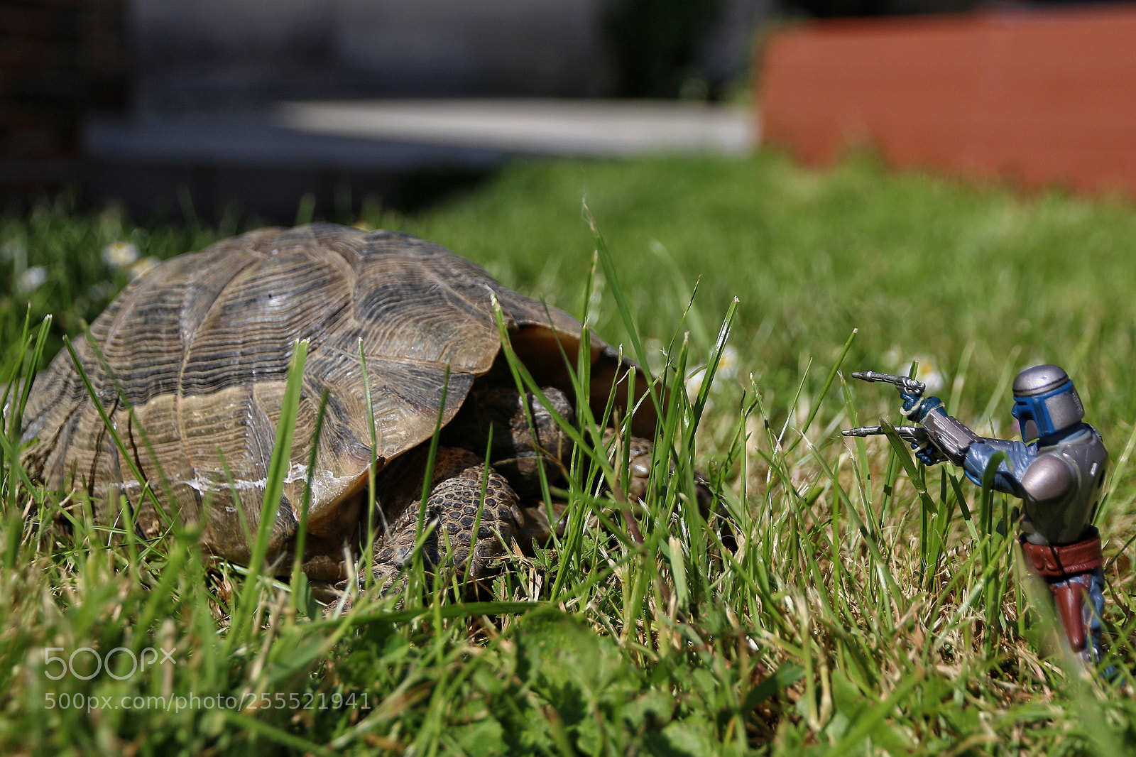 Canon EOS 70D sample photo. Untitled photography