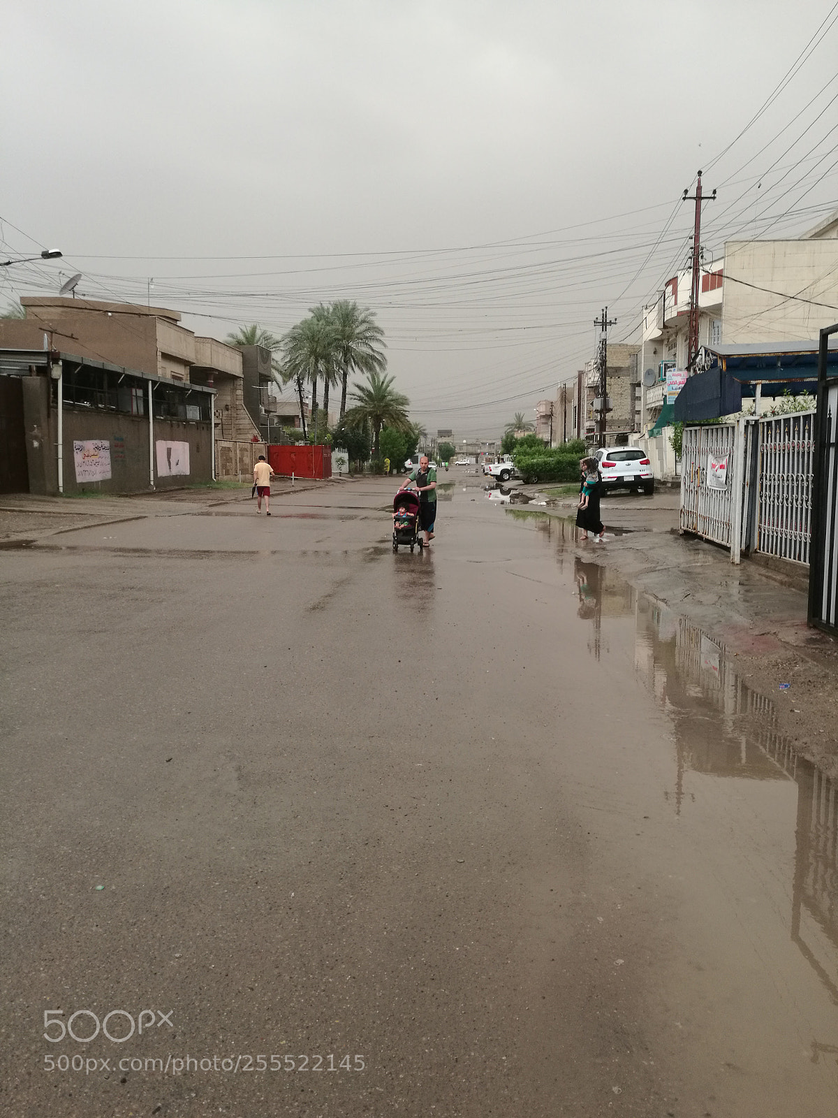 HUAWEI Mate 8 sample photo. Rain in summer photography