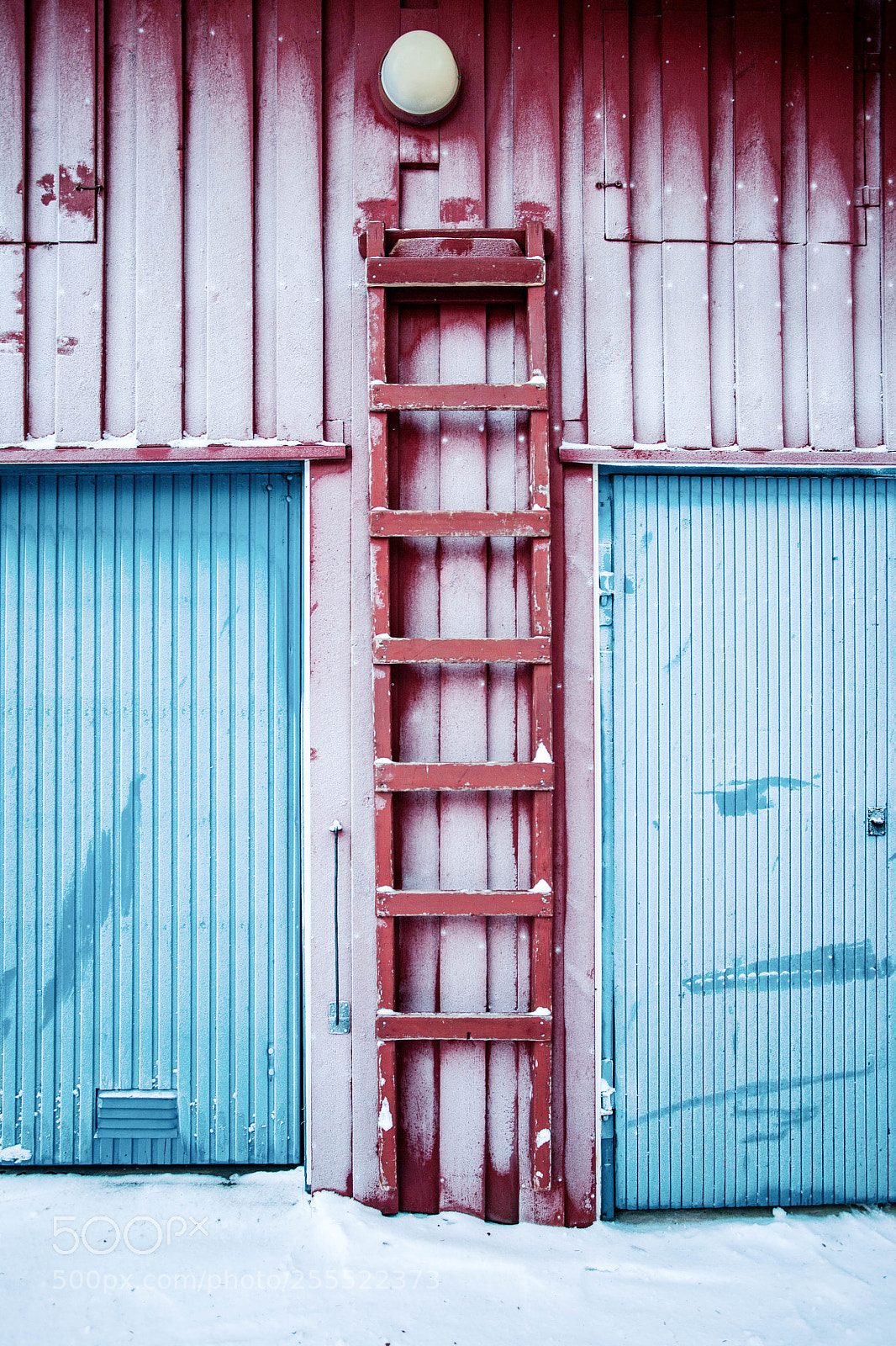 Canon EOS 5D sample photo. Winter colors photography
