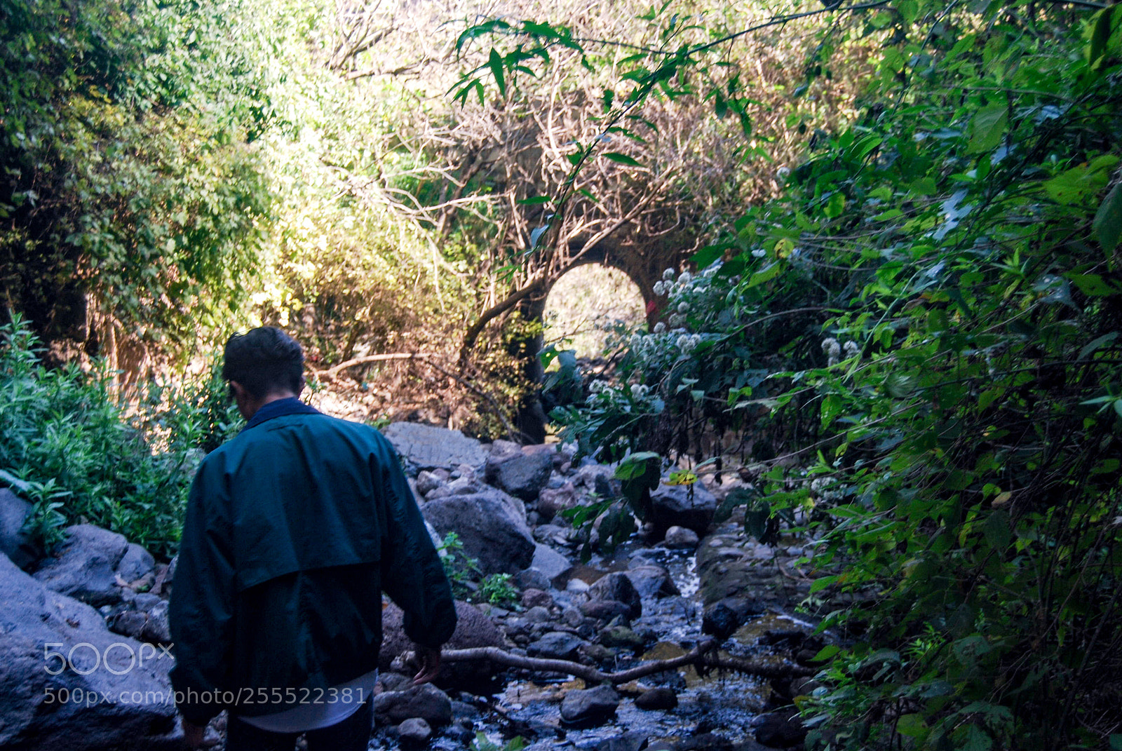 Nikon D40X sample photo. Walk photography