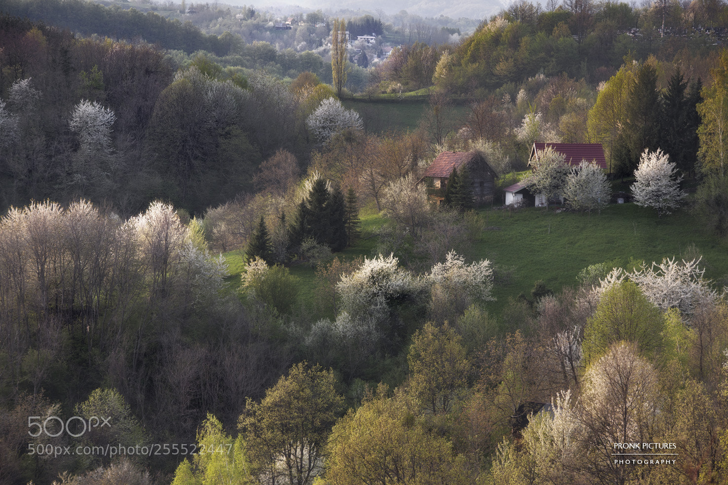 Canon EOS 5D Mark II sample photo. Zumberak spring photography